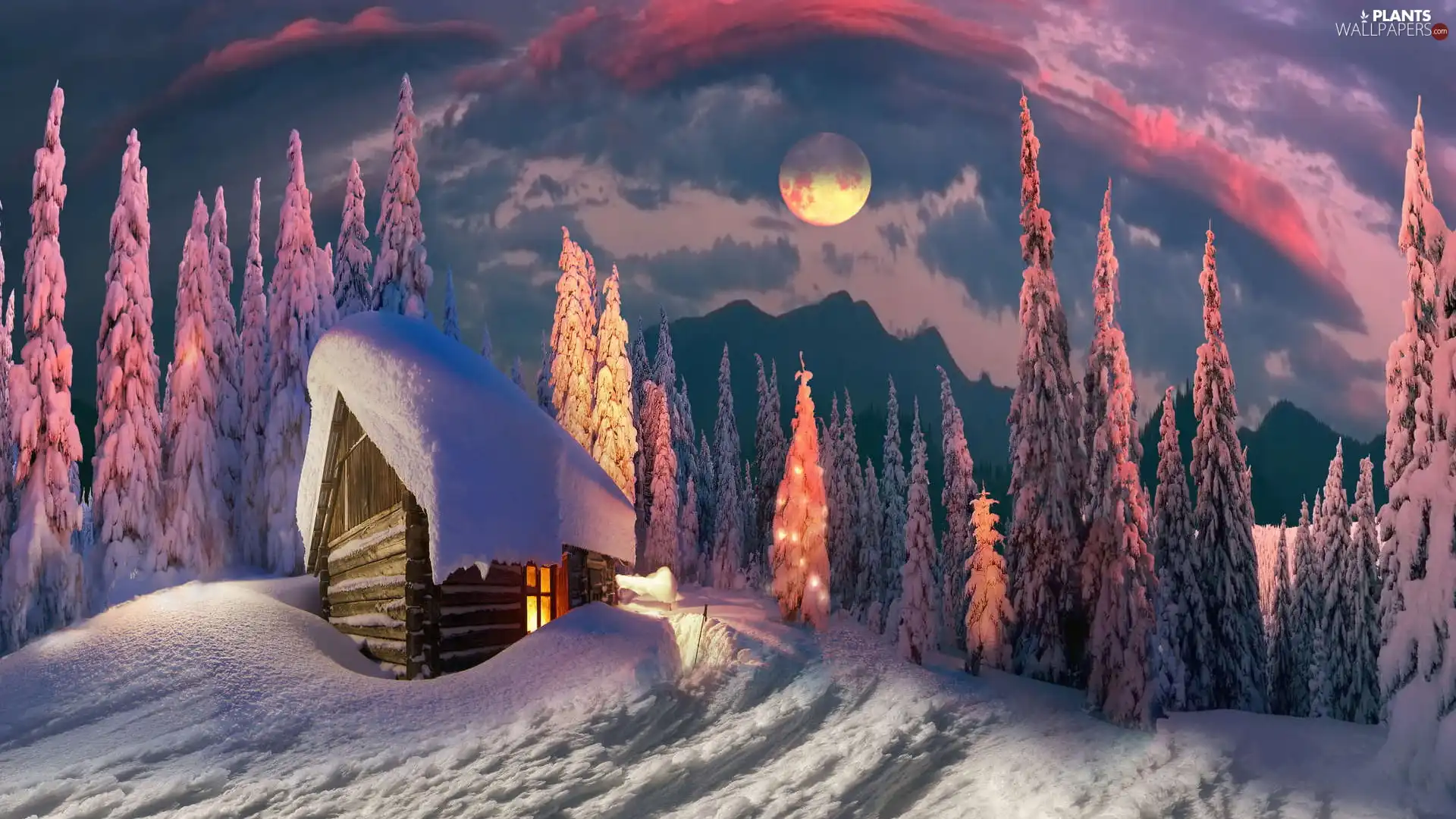 trees, photomontage, forest, viewes, house, Sky, color, winter, Digital Art, moon, snowy