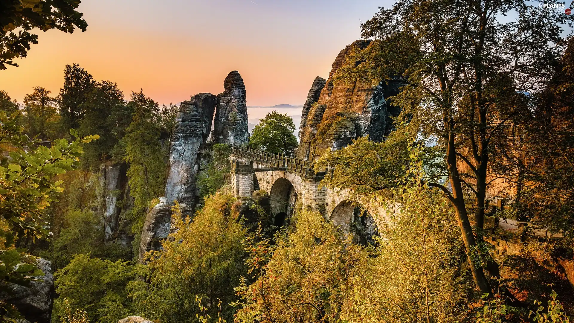 bridge, rocks, Germany, trees, Děčínská vrchovina, Bastei Rock Formation, Saxon Switzerland National Park, viewes