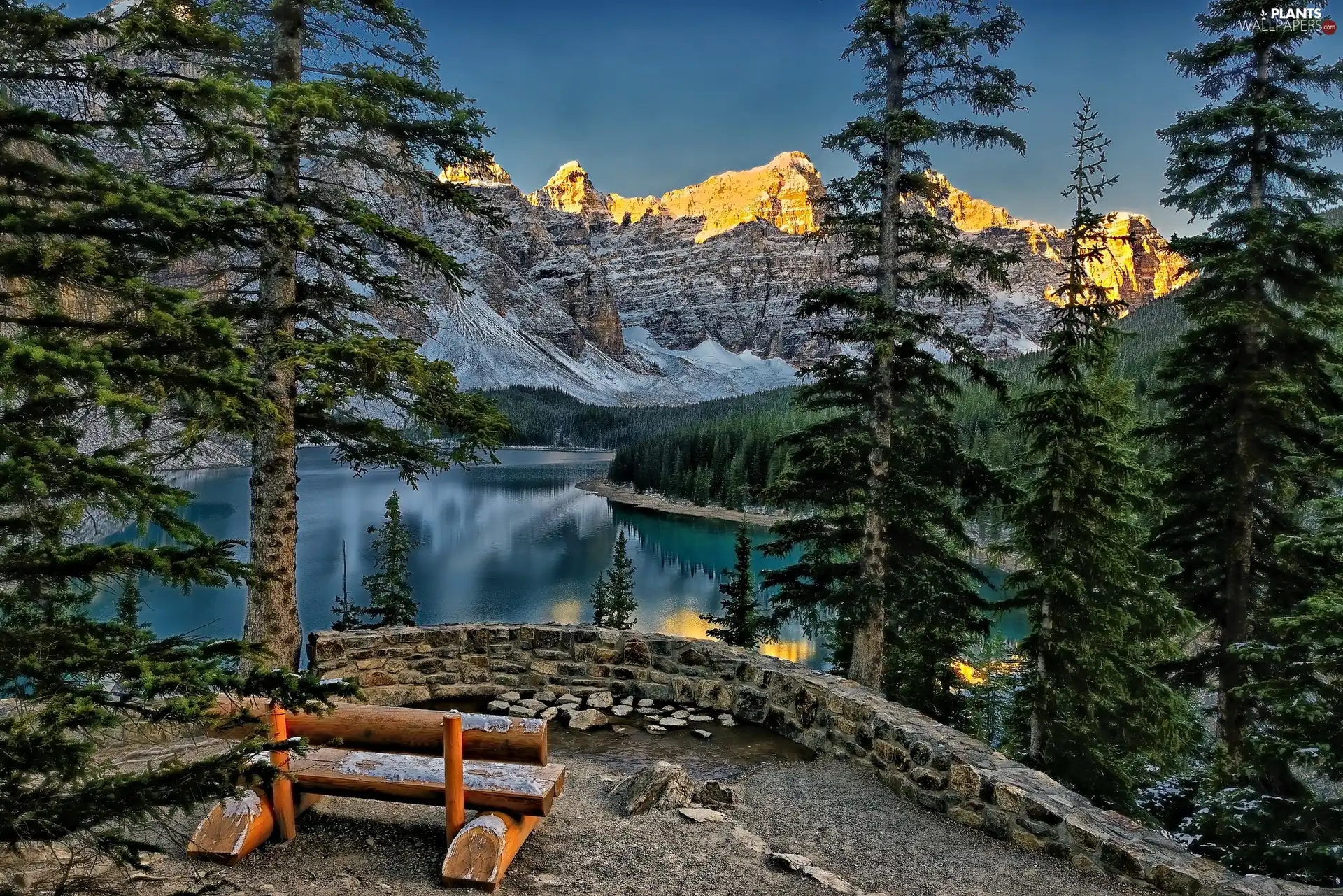 Mountains, Spruces, Bench, lake