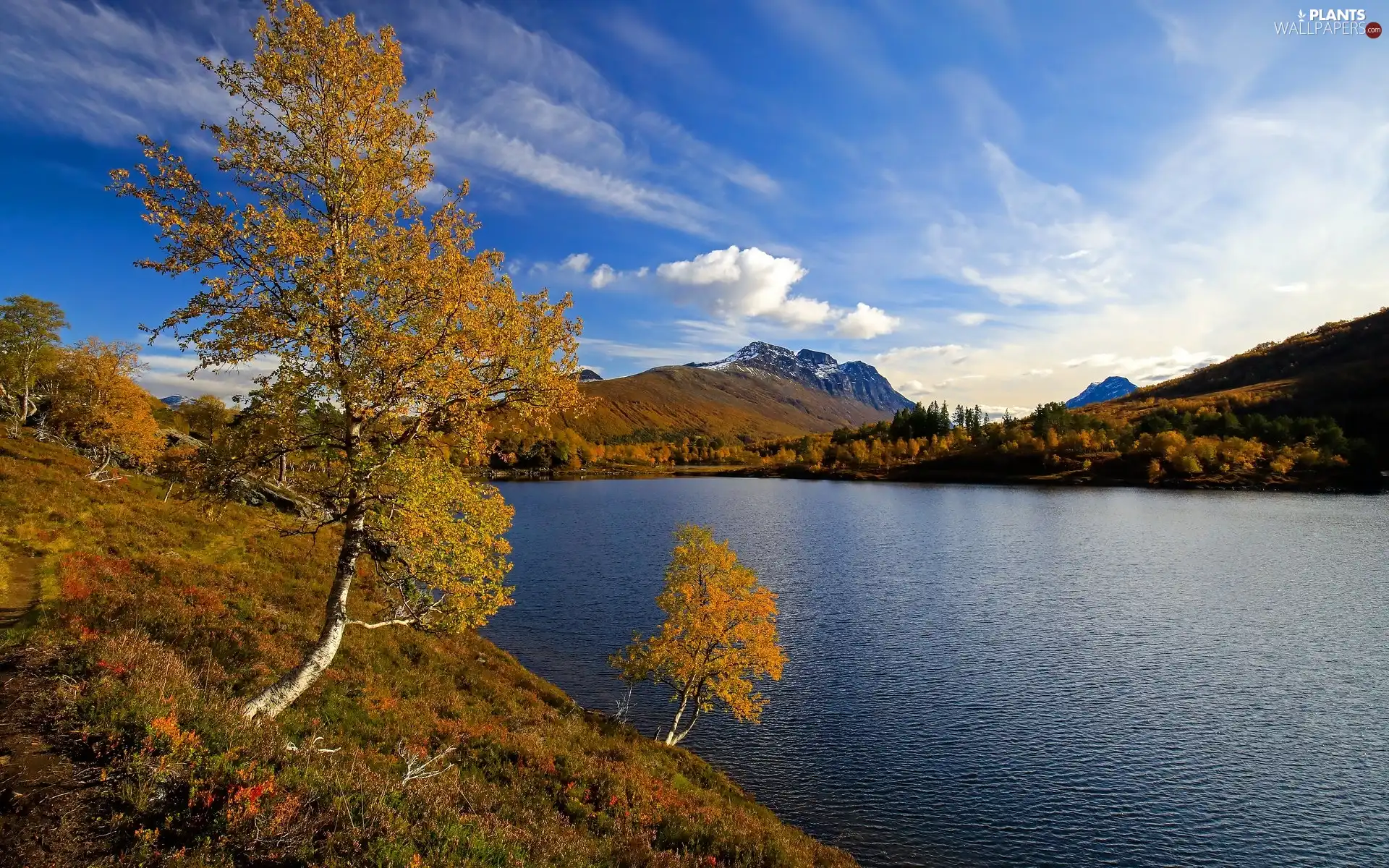lake, autumn, viewes, birch, trees, Mountains