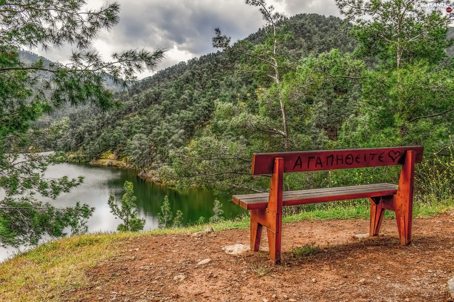 Mountains, Bench, viewes, clouds, trees, lake
