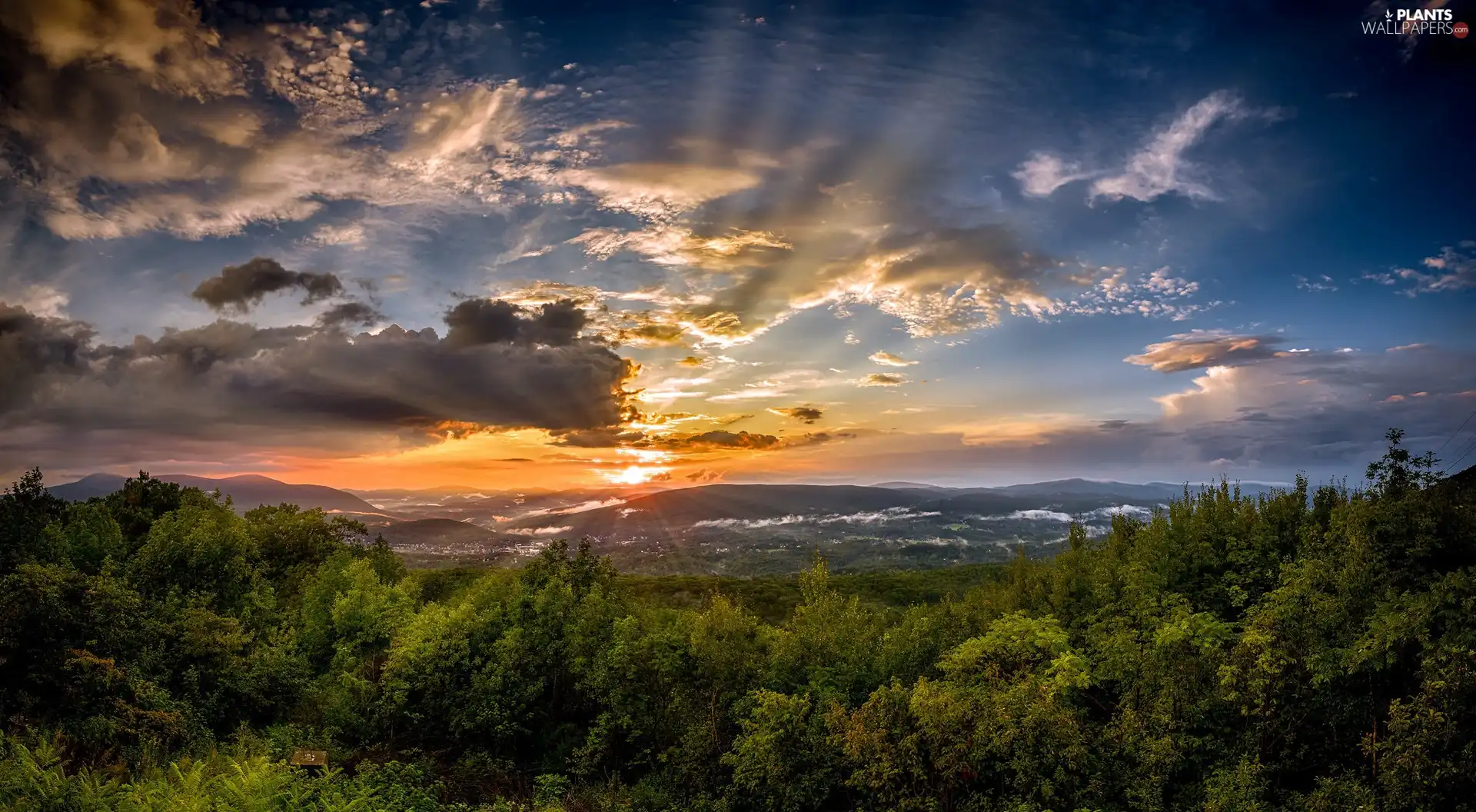 Sunrise, clouds, trees, viewes, Mountains