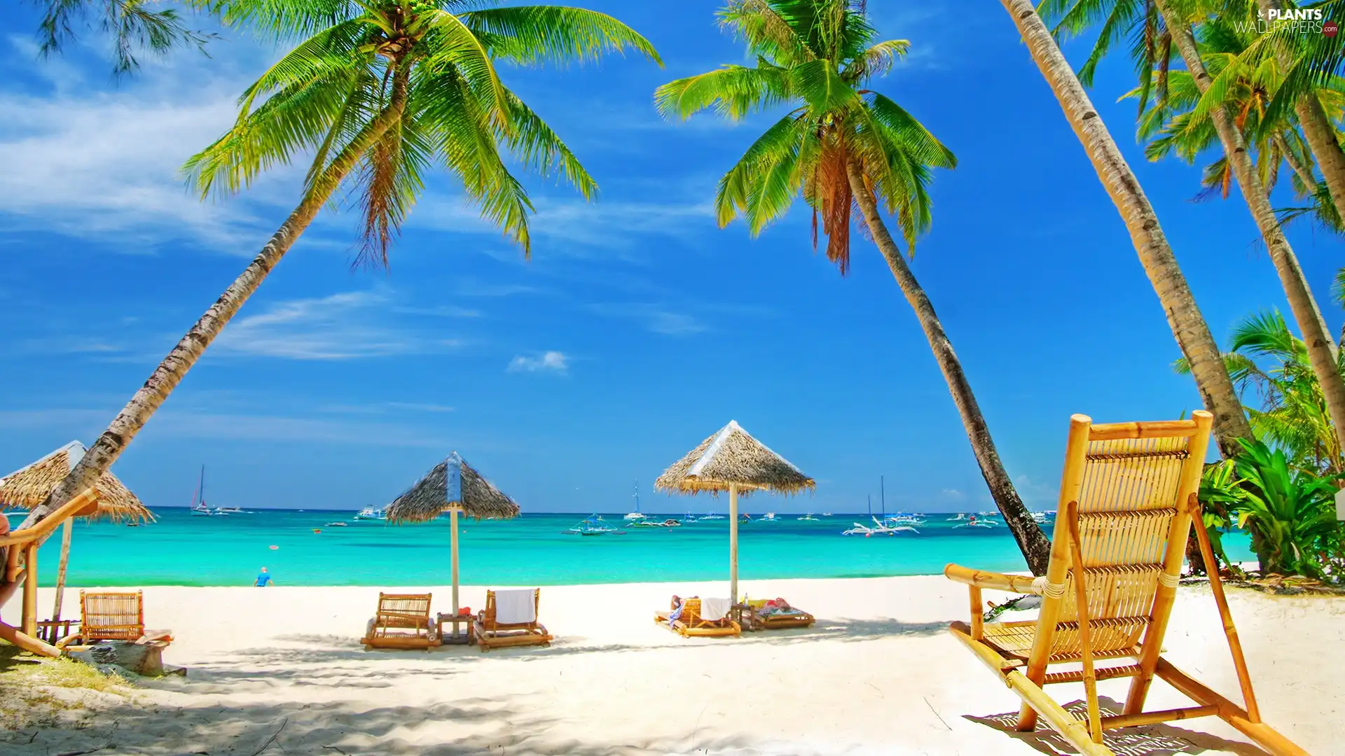Palms, Beaches, Sunshade, holiday, deck chair, Sand