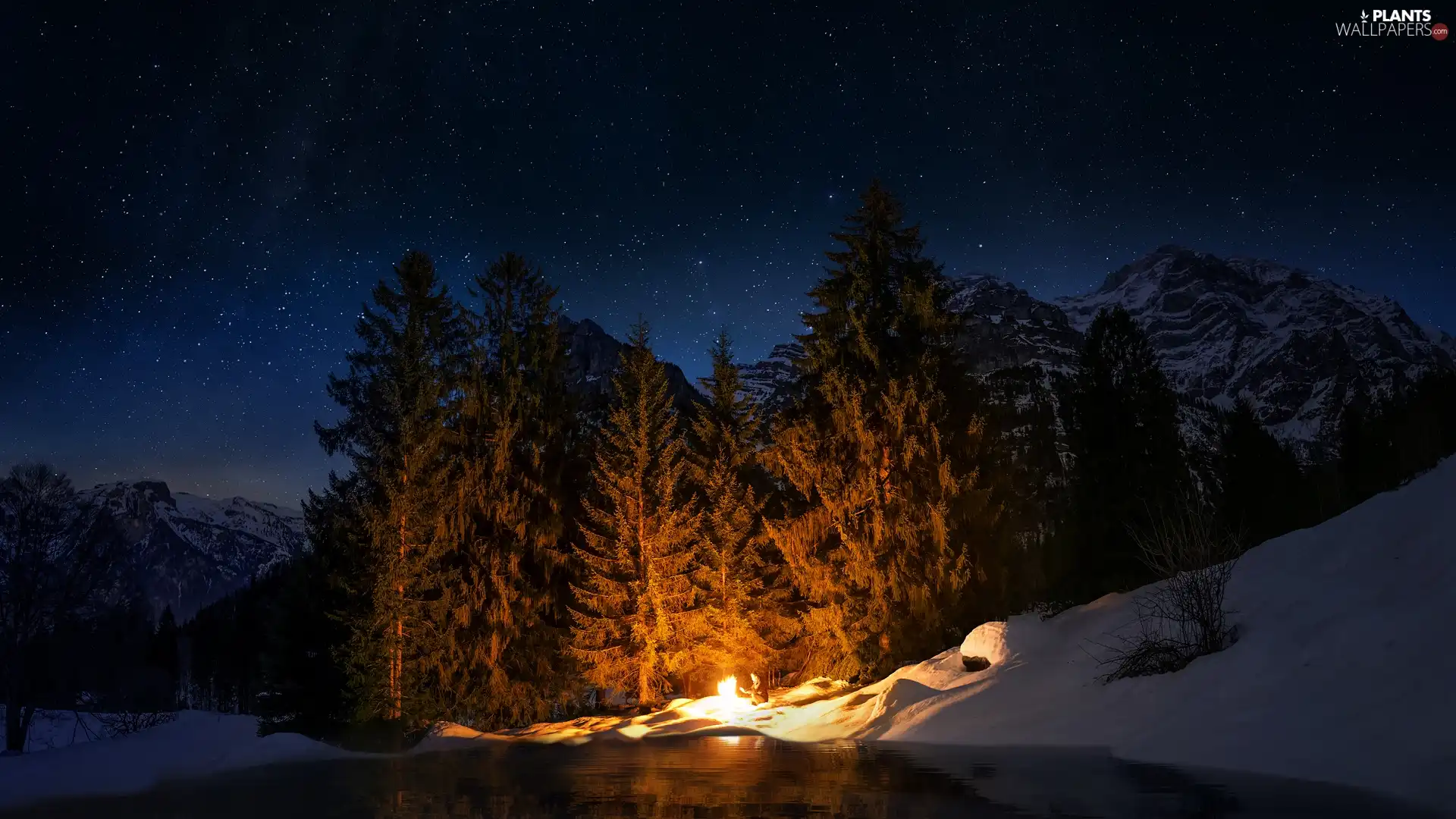 River, winter, viewes, fire, trees, Night