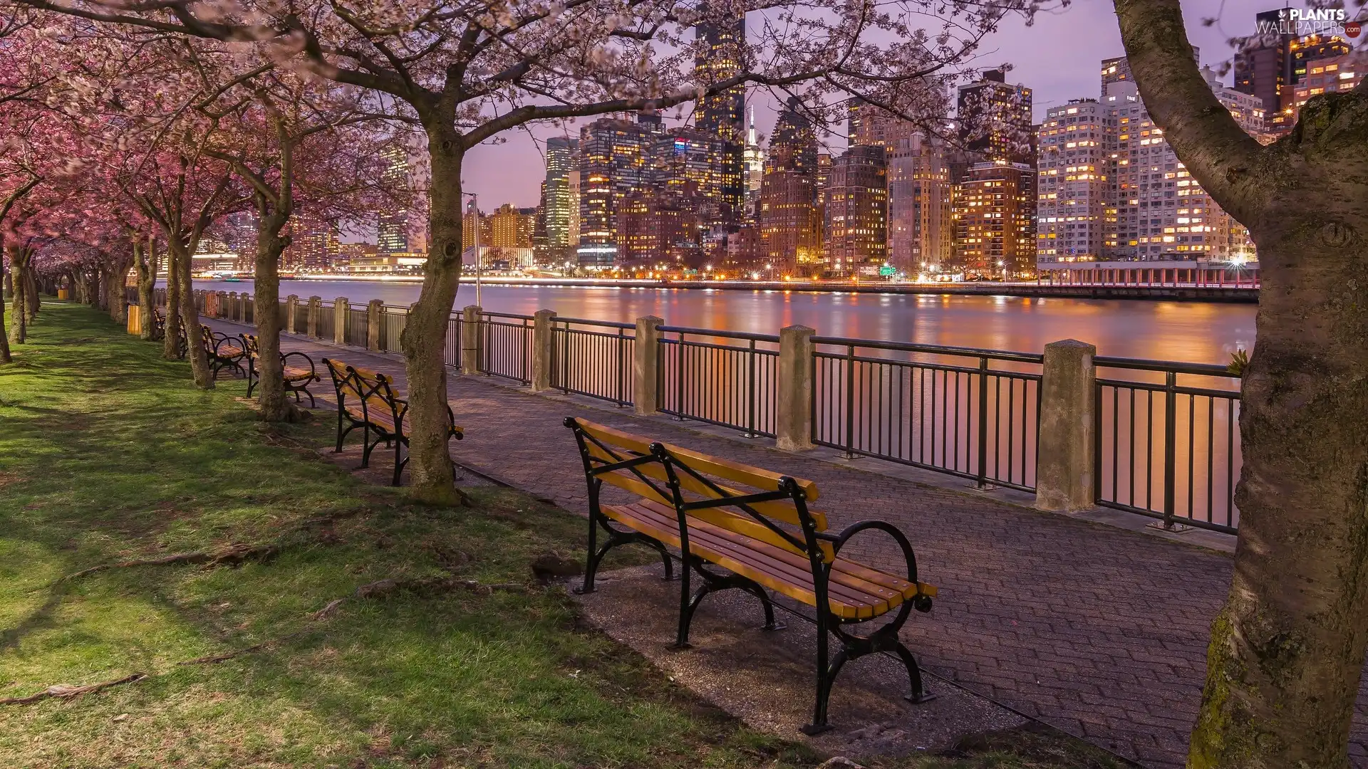 promenade, evening, viewes, Manhattan, Spring, flourishing, New York, bench, River, The United States, skyscrapers, trees, East River Strait