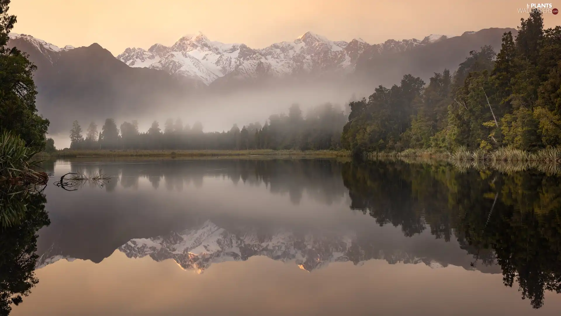 Matheson Lake, Mountains, viewes, New Zeland, Fog, Mount Cook National Park, trees, Sunrise, Mount Cook, reflection