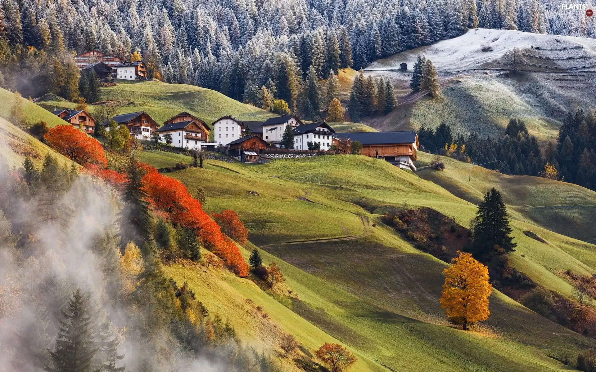 Houses, Mountains, viewes, Fog, trees, The Hills
