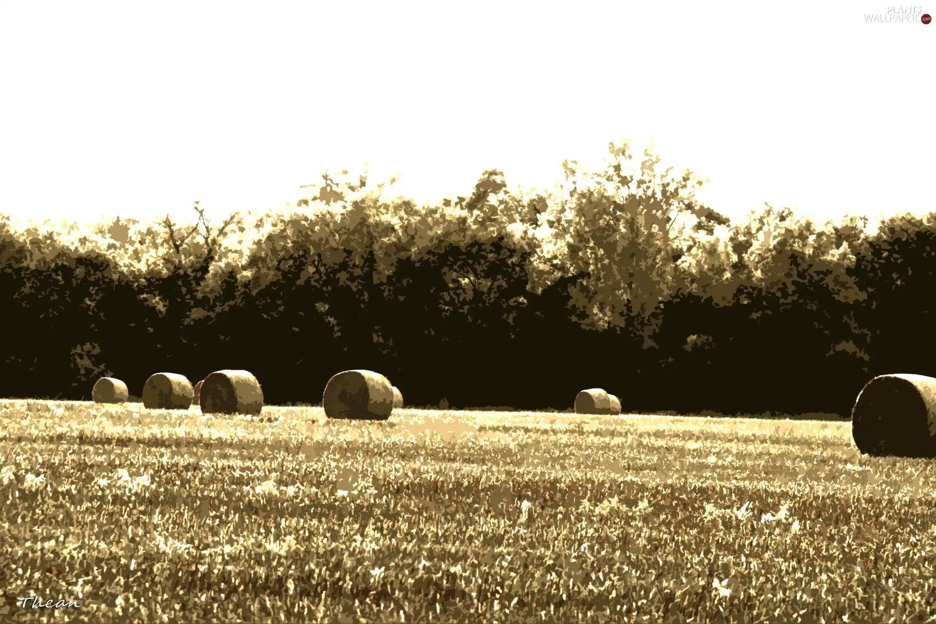 Bele, Field, forest, hay