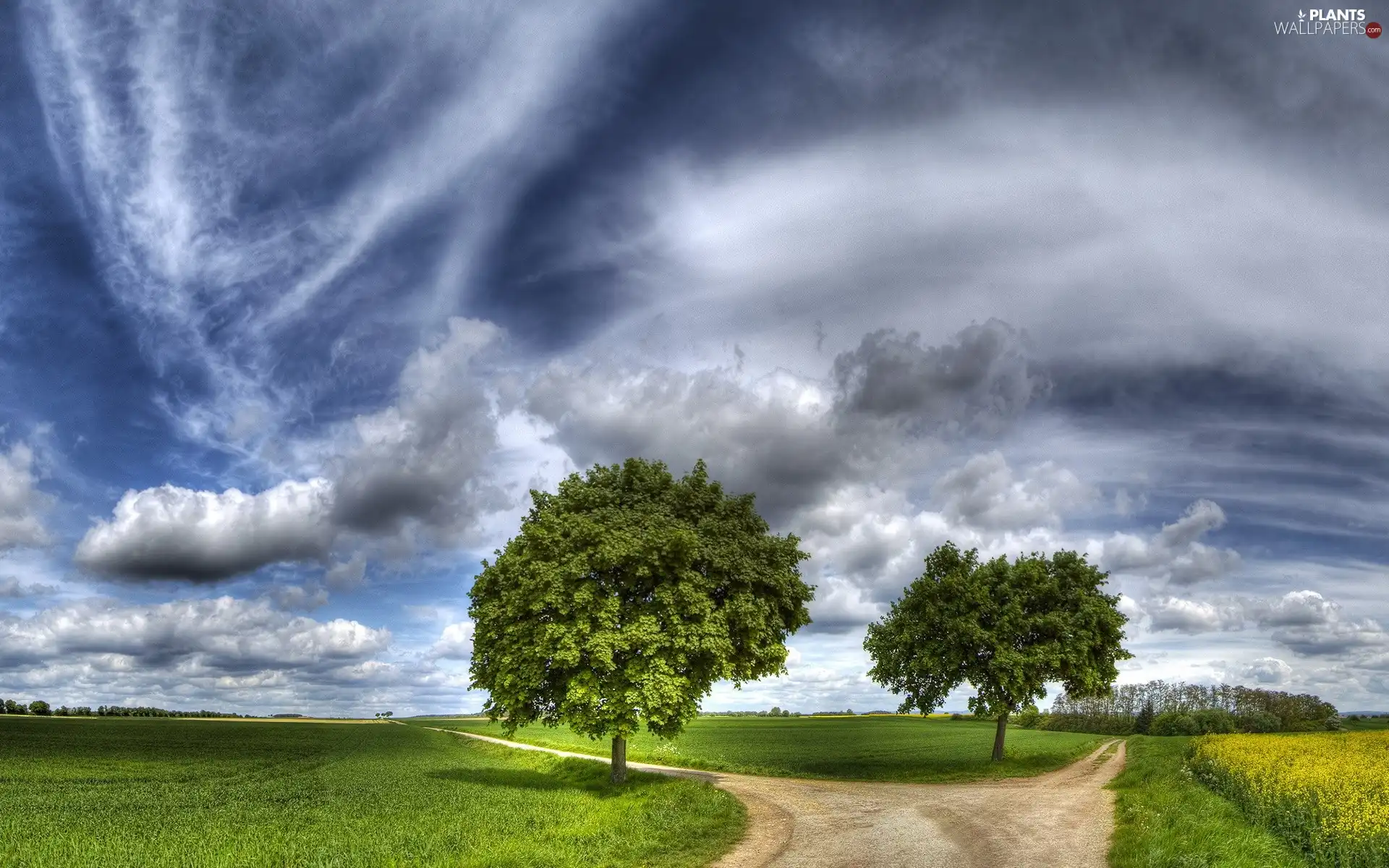 fork, roads, trees, viewes, clouds