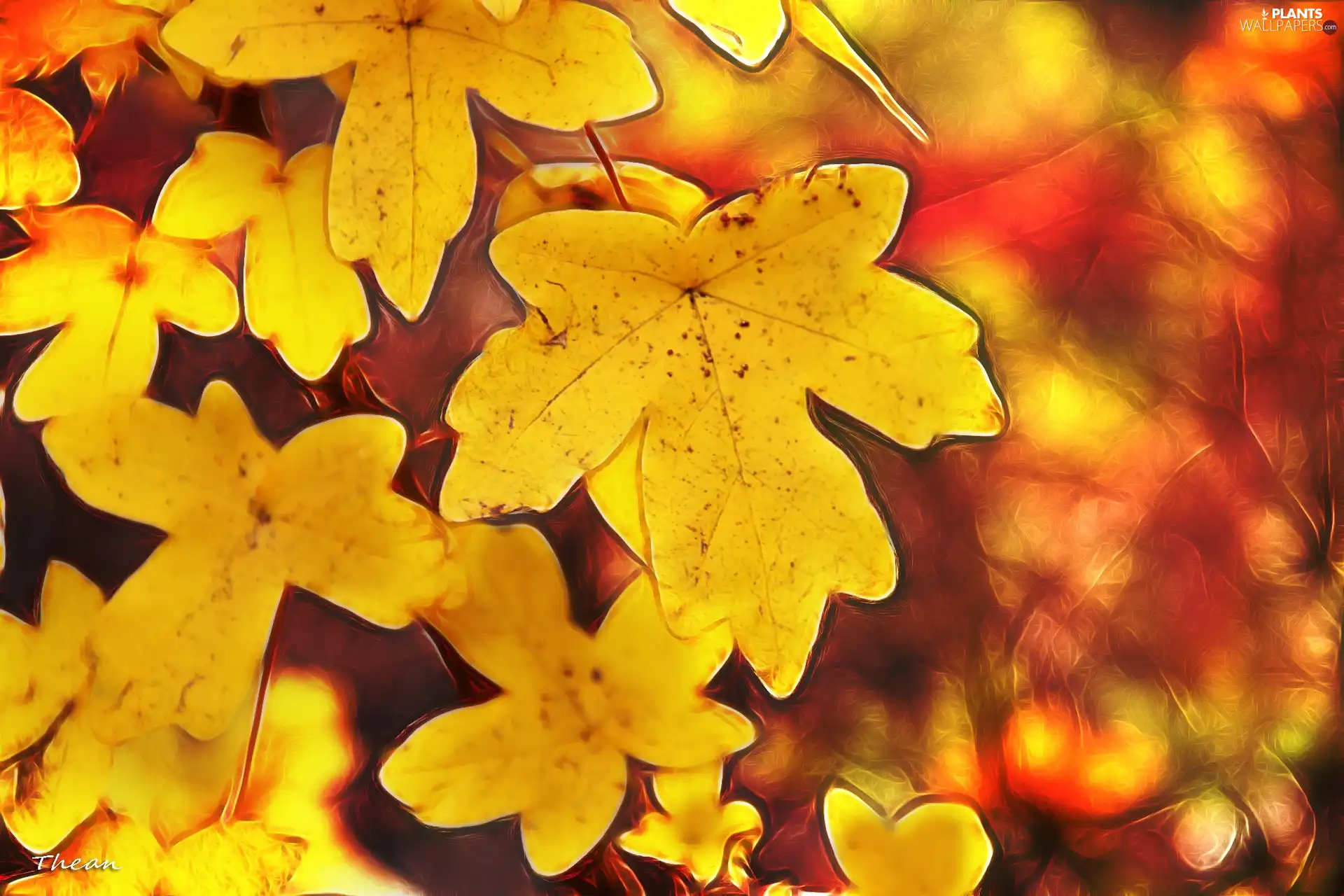 Fractalius, Yellow, Leaf