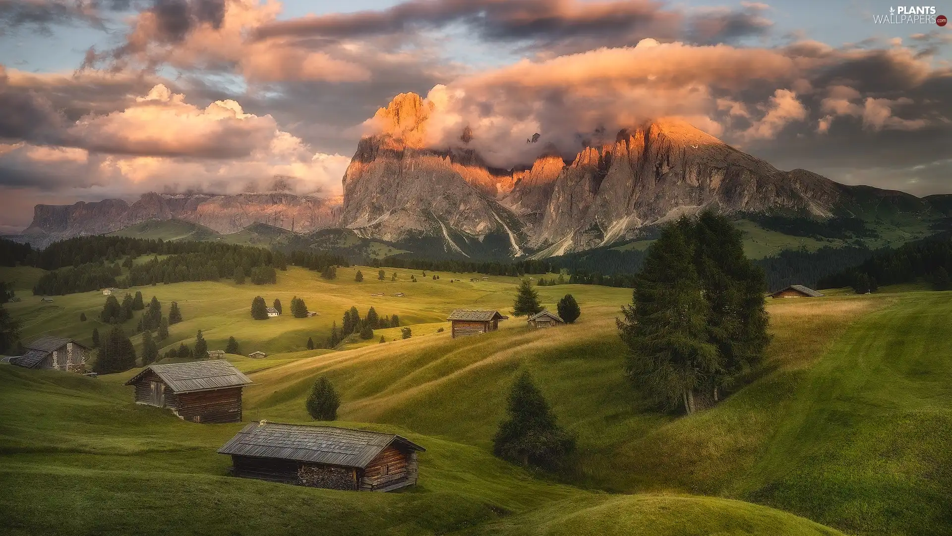 Valley, Sassolungo Mountains, The Hills, Val Gardena, trees, Italy, clouds, Seiser Alm Meadow, Dolomites, viewes, Houses