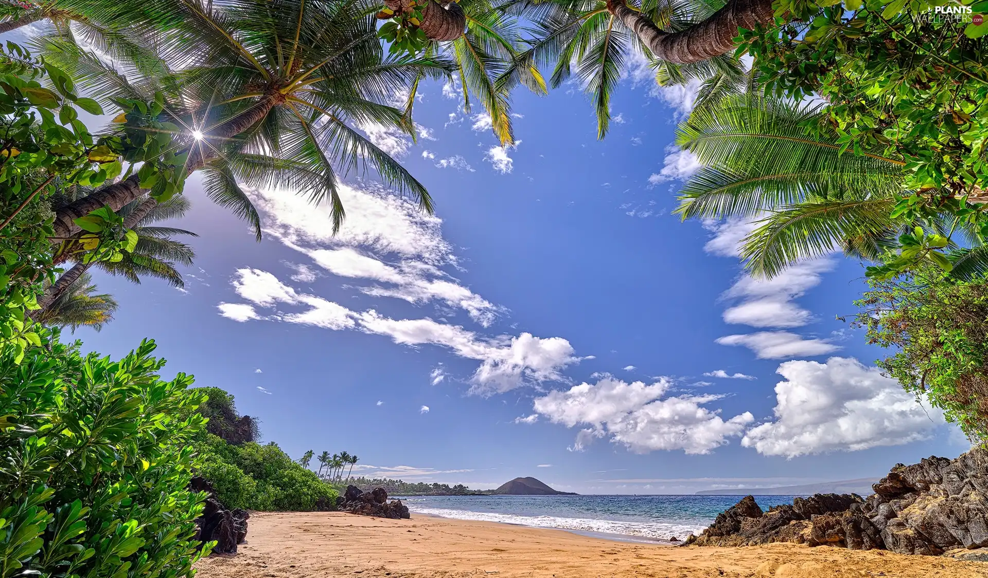 Beaches, rays of the Sun, VEGETATION, sea, Aloha State Hawaje, Palms, clouds