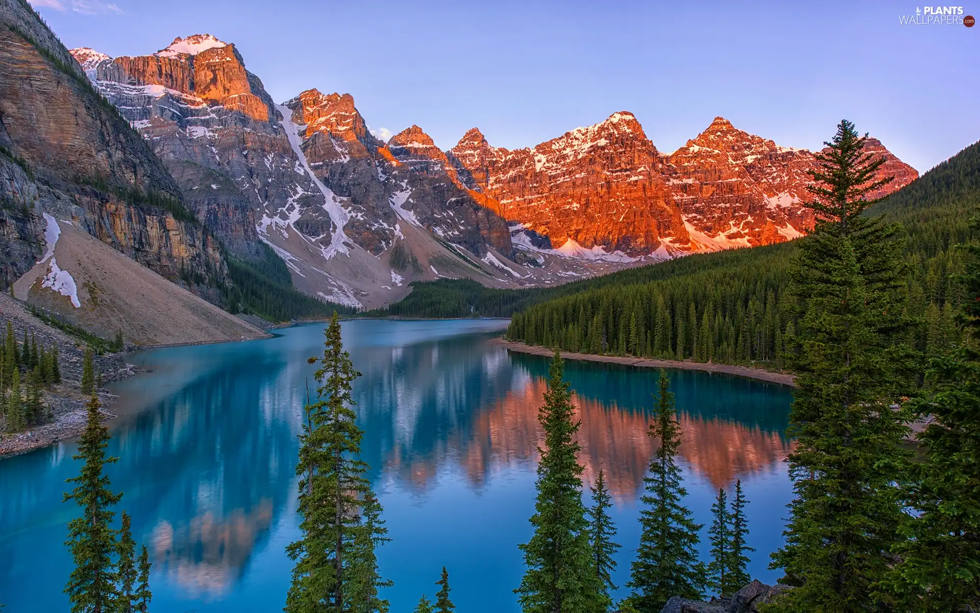 Mountains, Province of Alberta, trees, Banff National Park, Canada, Lake Moraine, viewes