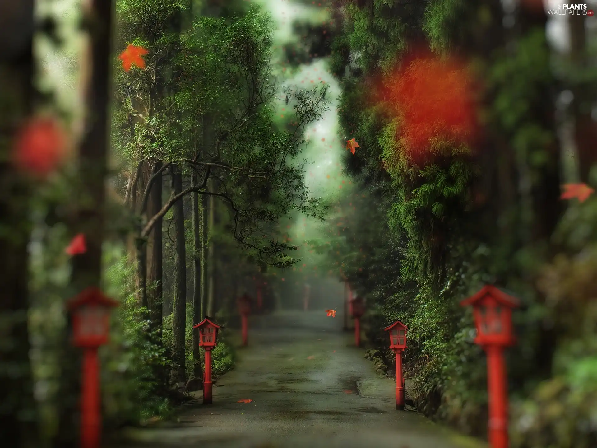lanterns, Leaf, alley, Red, Park