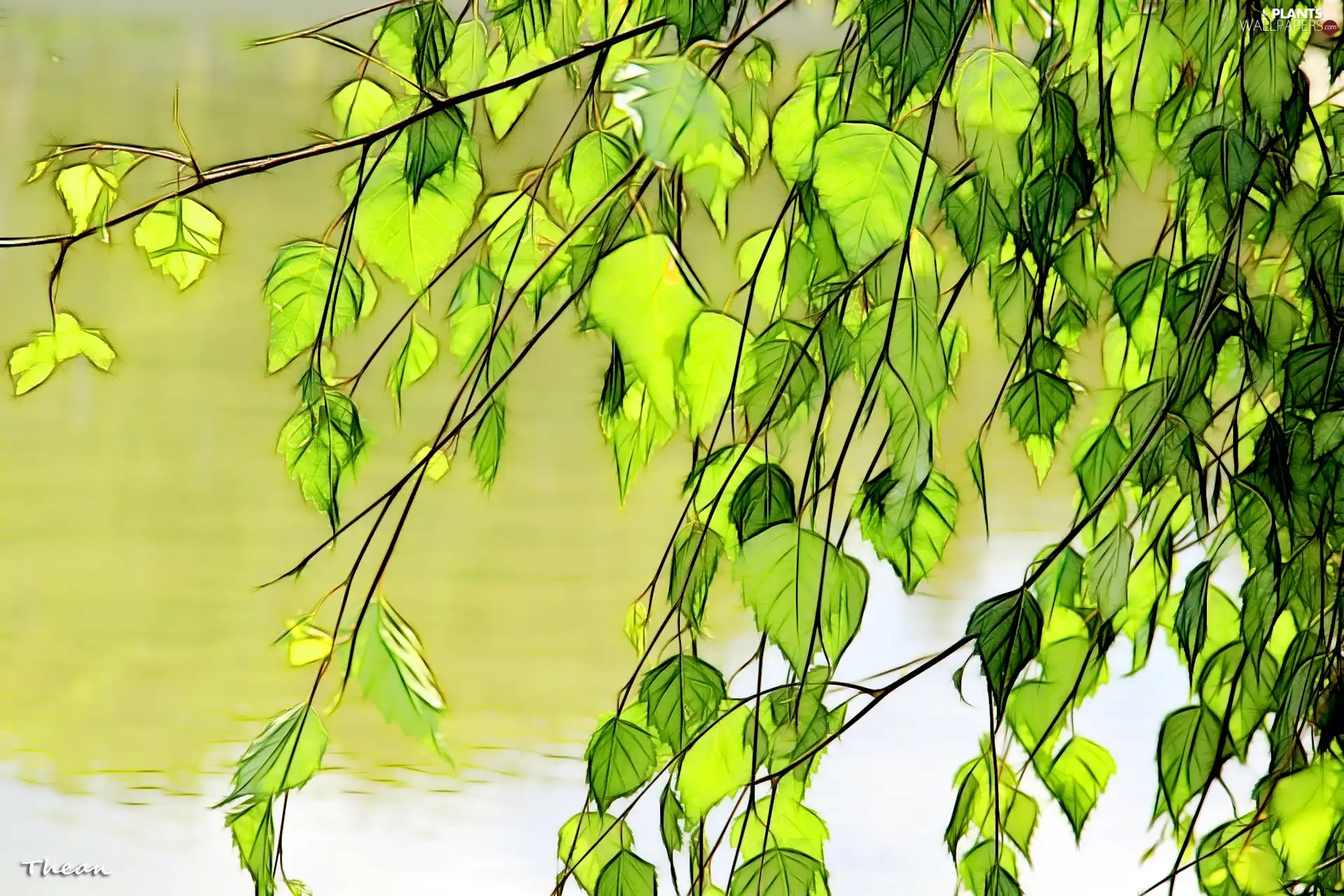 Fractalius, birch-tree, Leaf