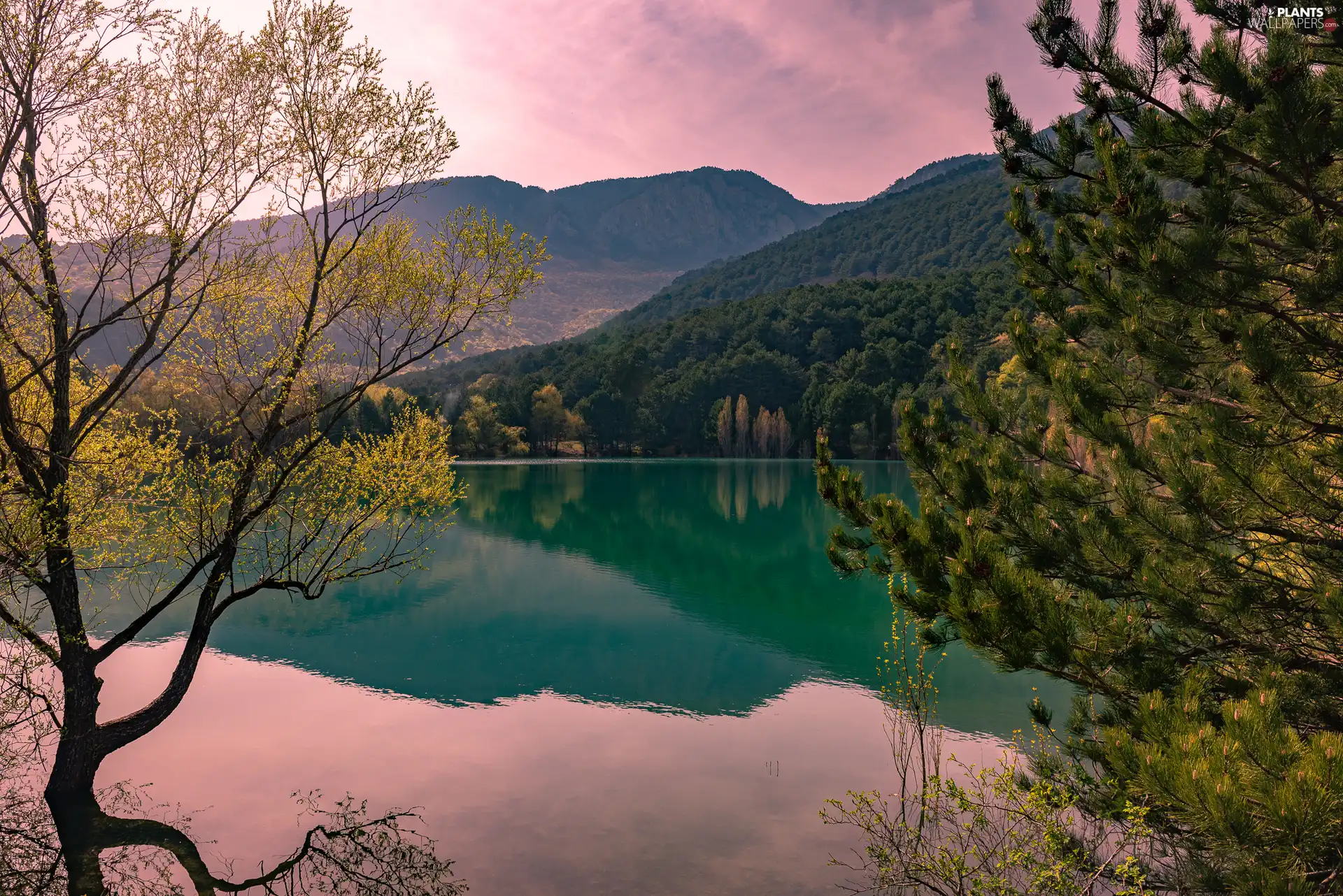 trees, lake, Sky, Mountains, viewes, forest