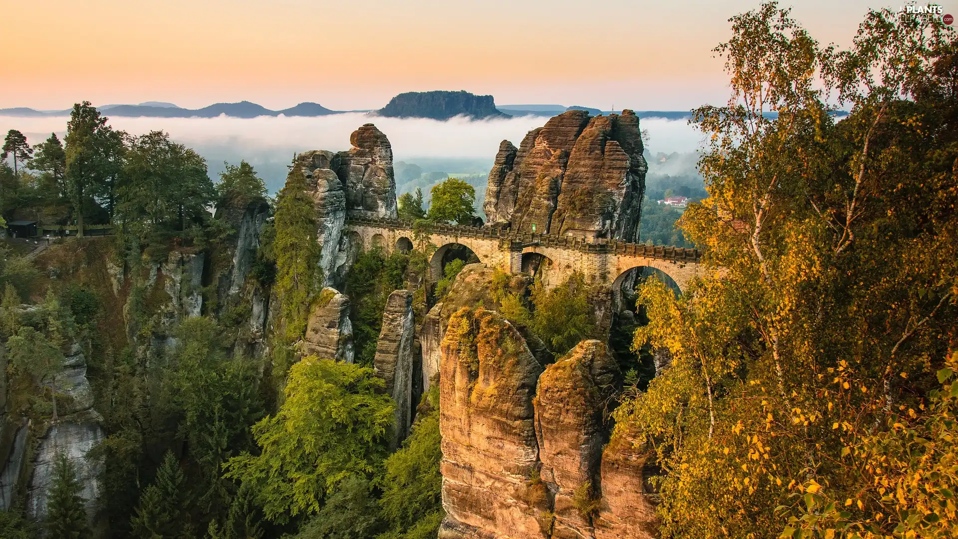 Stone Bridge, rocks, Germany, trees, Děčínská vrchovina, Bastei Rock Formation, Saxon Switzerland National Park, viewes