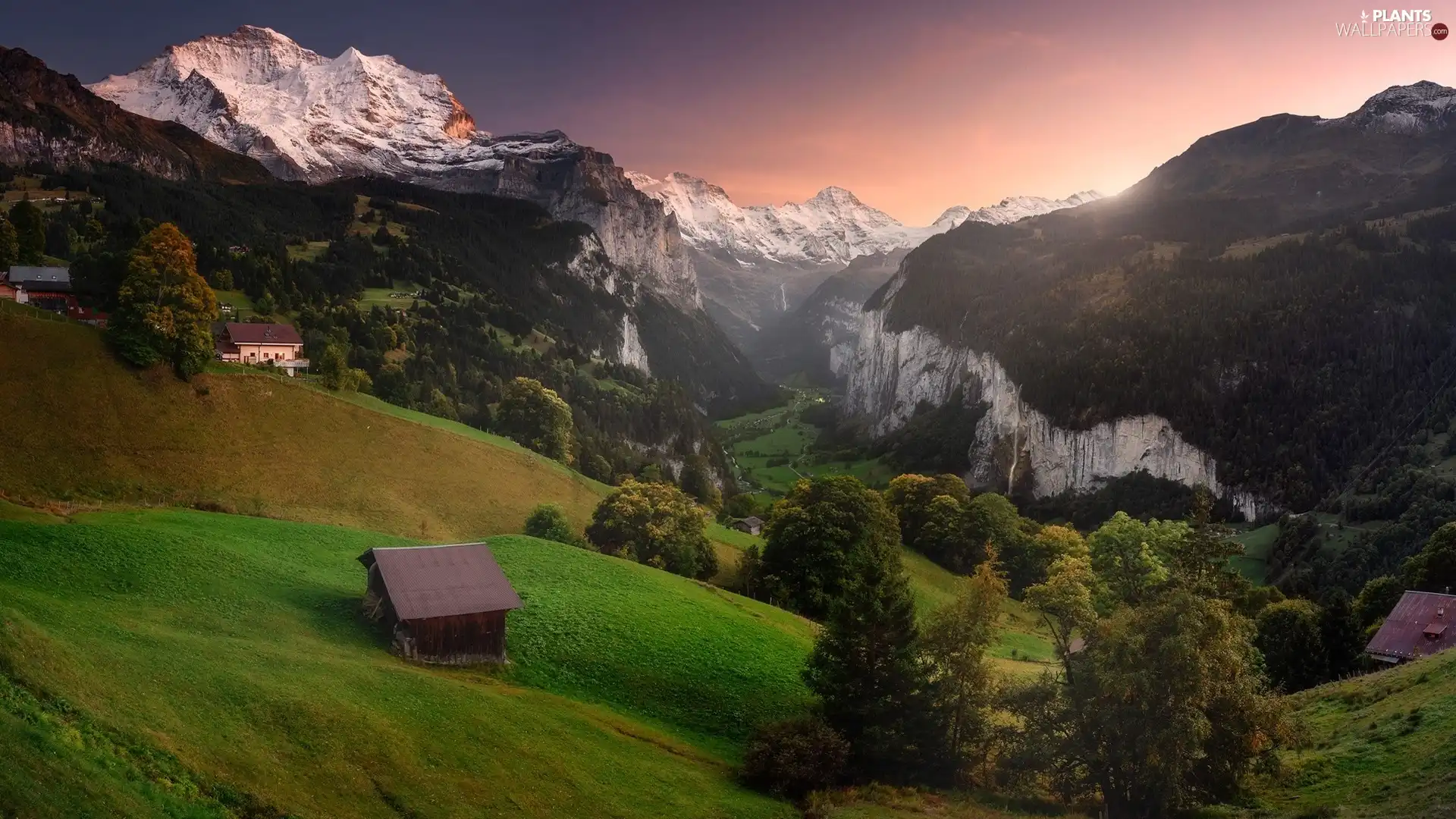 trees, Mountains, woods, viewes, Sunrise, Switzerland, Canton of Bern, Lauterbrunnental Valley, Bernese Alps, Wengen, Houses