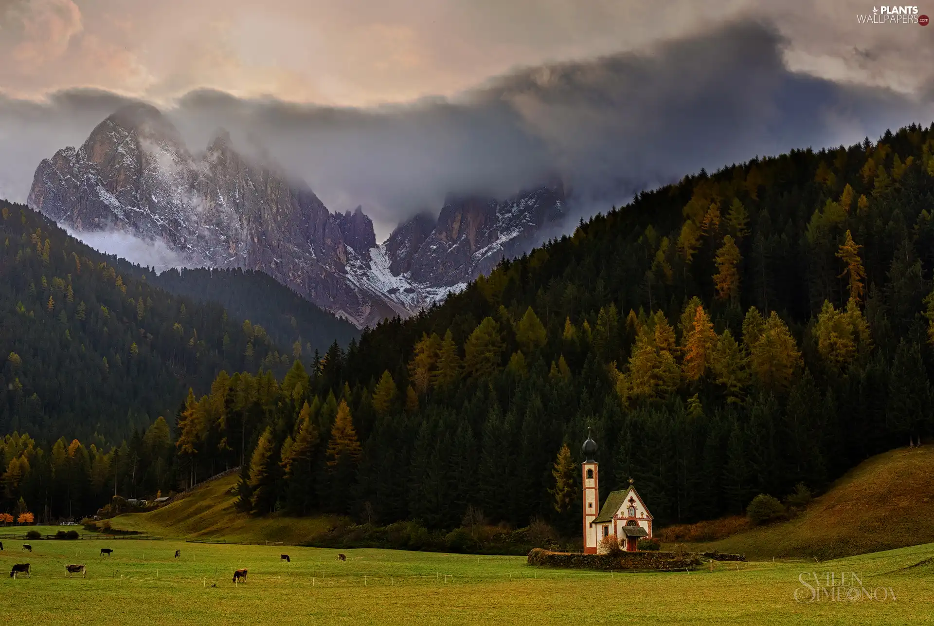 woods, Val di Funes Valley, Dolomites, Italy, Mountains, Church of St. John