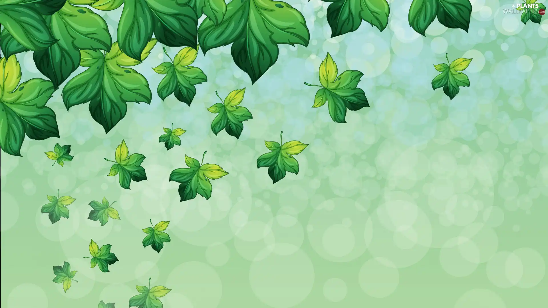 green ones, background, 2D, Leaf