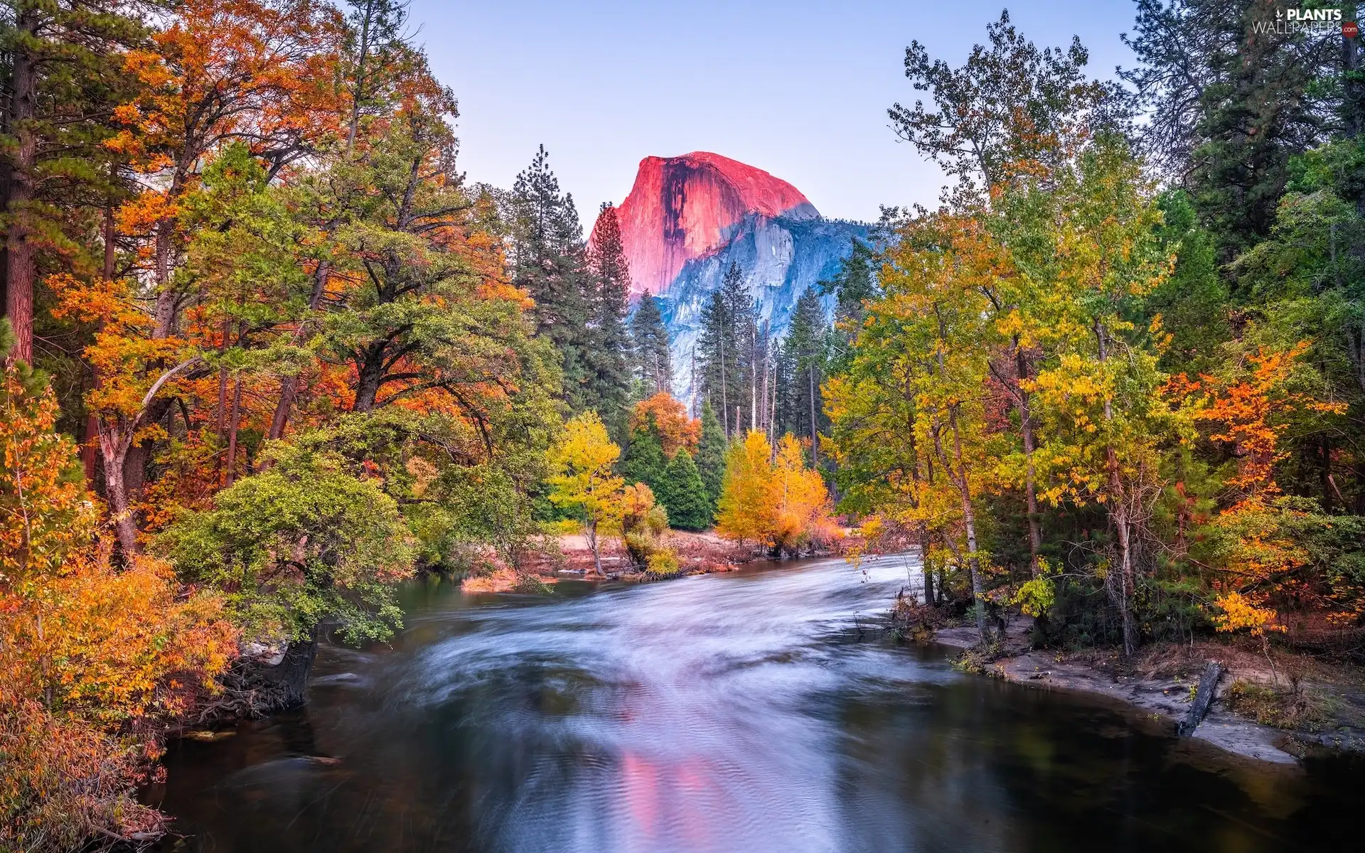 California, The United States, Yosemite National Park, autumn, Mountains, Half Dome Mountain, trees, viewes, Merced River