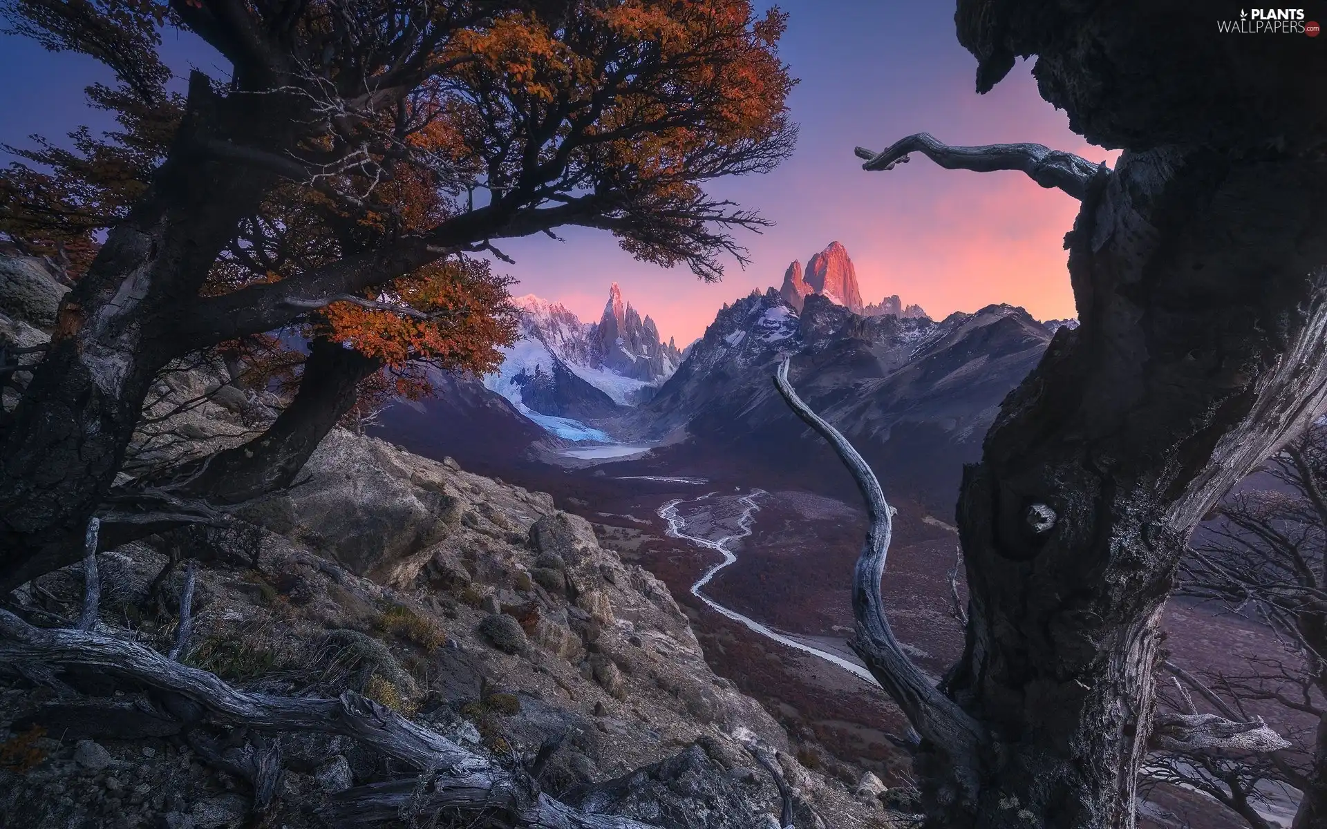 Patagonia, Argentina, Los Glaciares National Park, autumn, viewes, River Rio de las Vueltas, Fitz Roy Mountain, trees, Mountains
