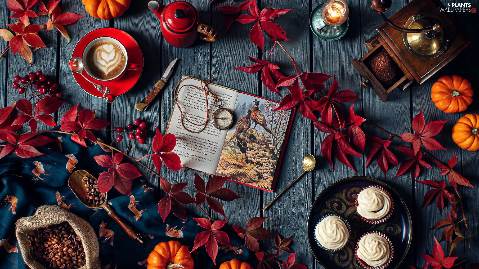 Book, pumpkin, Leaf, Muffins, composition