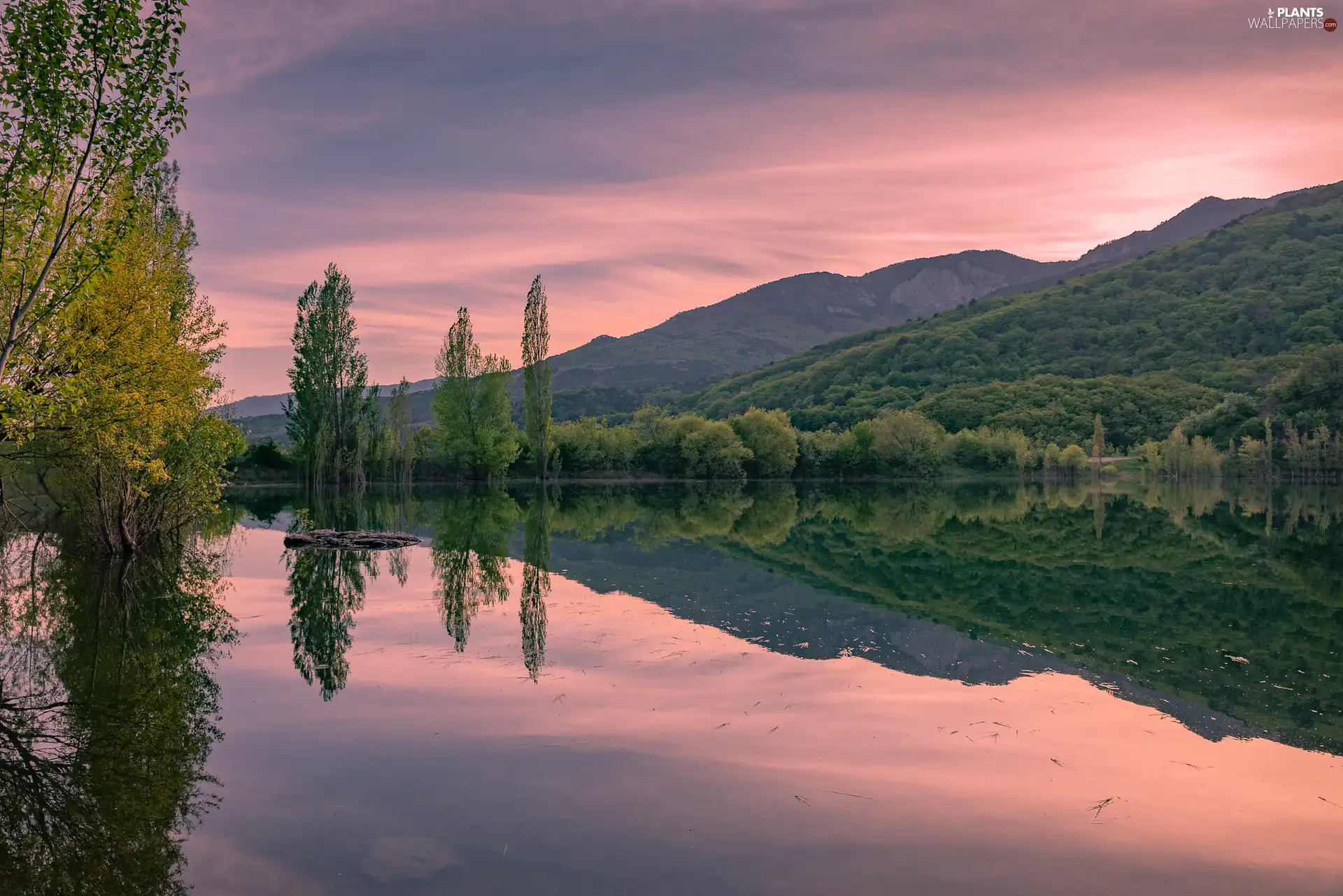trees, lake, Great Sunsets, forest, Mountains, viewes, reflection