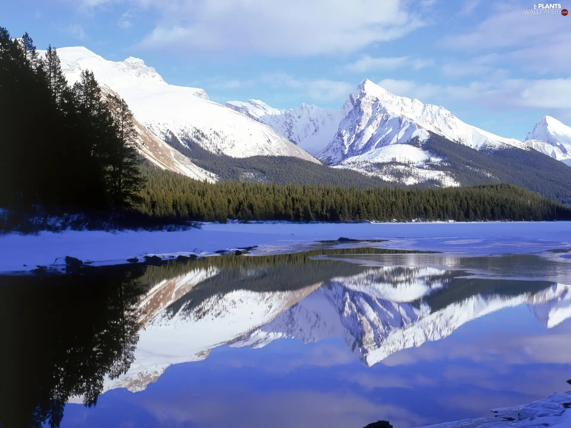 Snowy, lake, reflection, Mountains