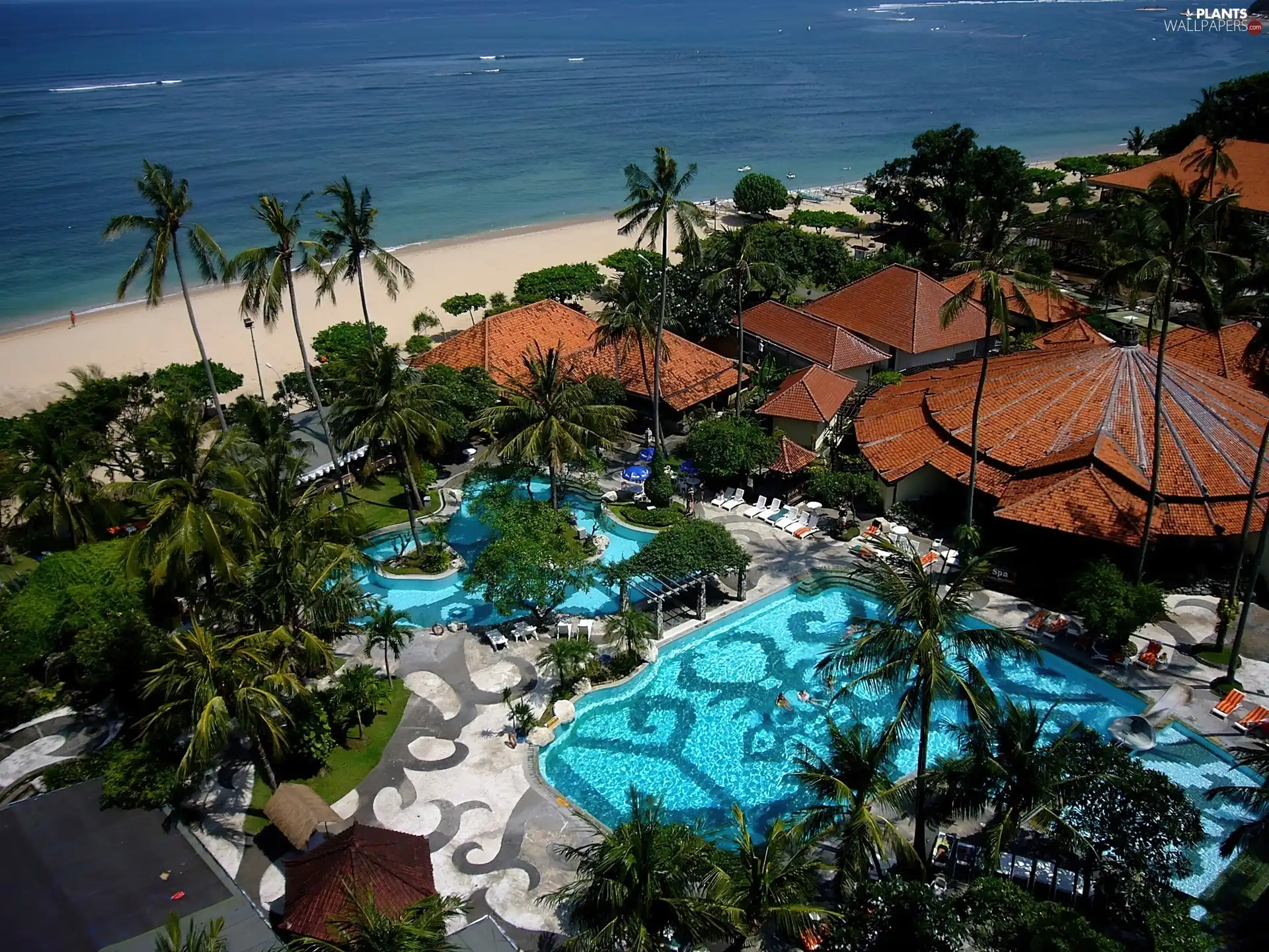Hotel hall, Palms, sea, Pool