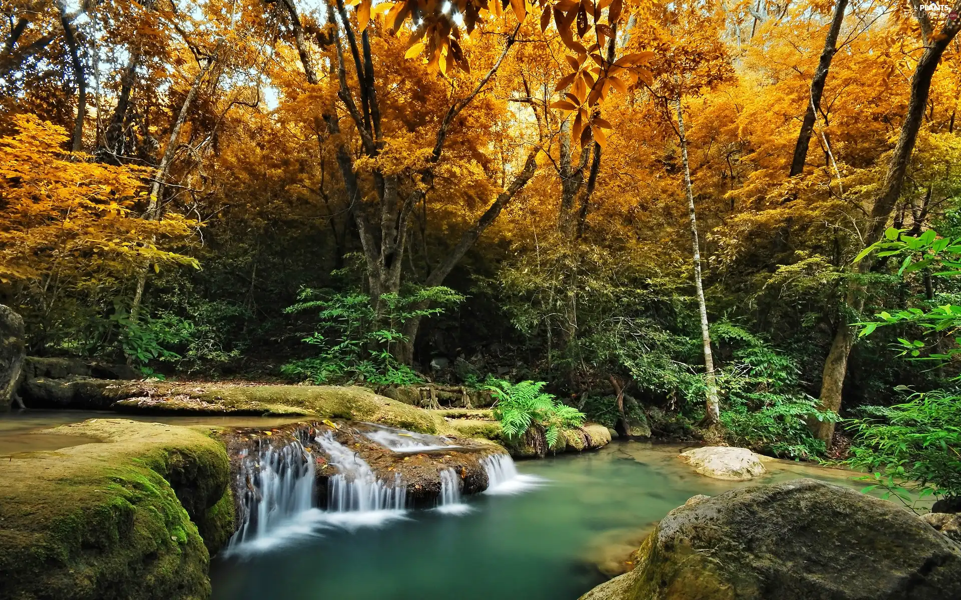 small, waterfall, trees, viewes, autumn