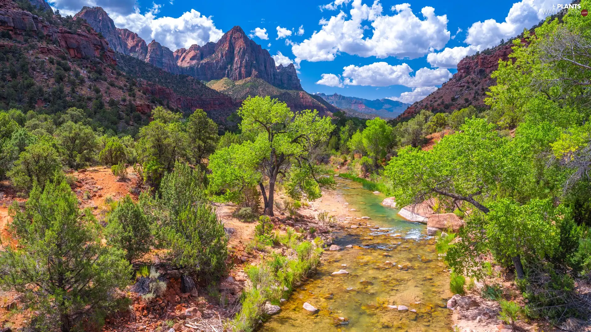 trees, viewes, The United States, clouds, Utah State, Watchman Mountains, Zion National Park, Virgin River