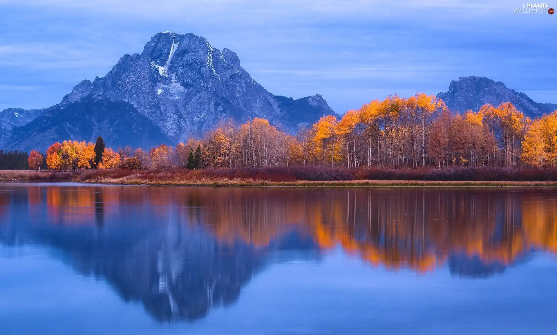 State of Wyoming, The United States, Grand Teton National Park, Snake River, viewes, autumn, Mount Moran, trees, Mountains