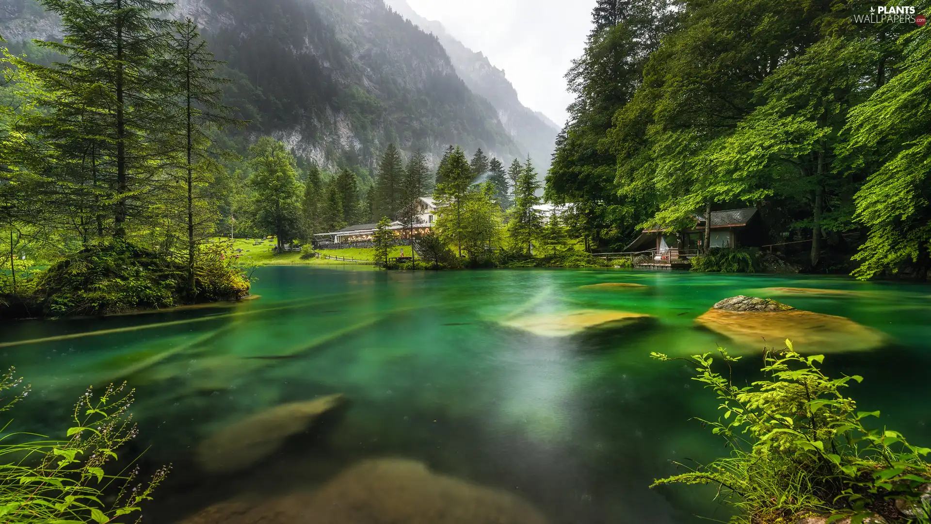 Canton of Bern, Switzerland, Blausee Lake, Mountains, trees, viewes, Stones, forest, Houses