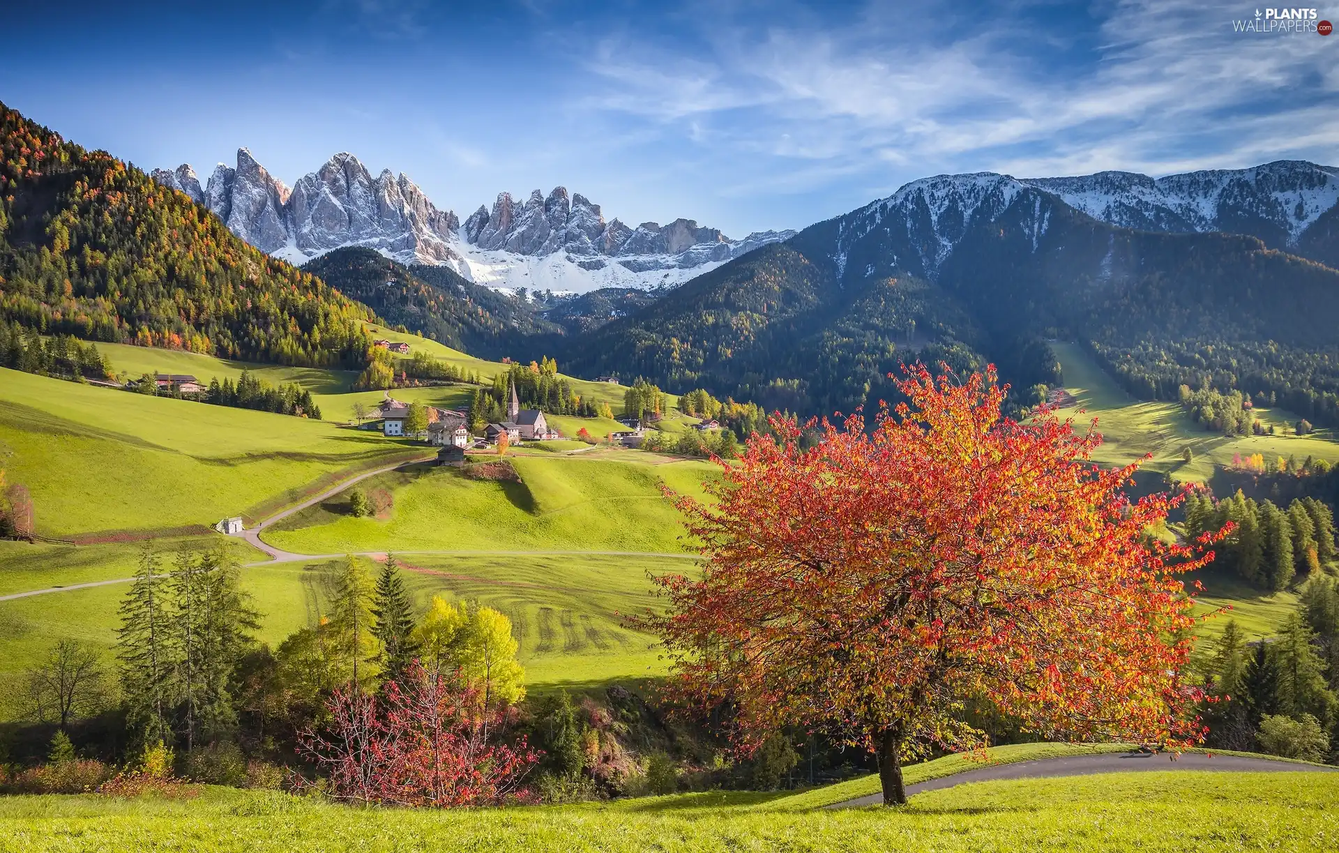 Val di Funes Valley, Dolomites Mountains, Houses, The Hills, viewes, Santa Maddalena, Italy, trees