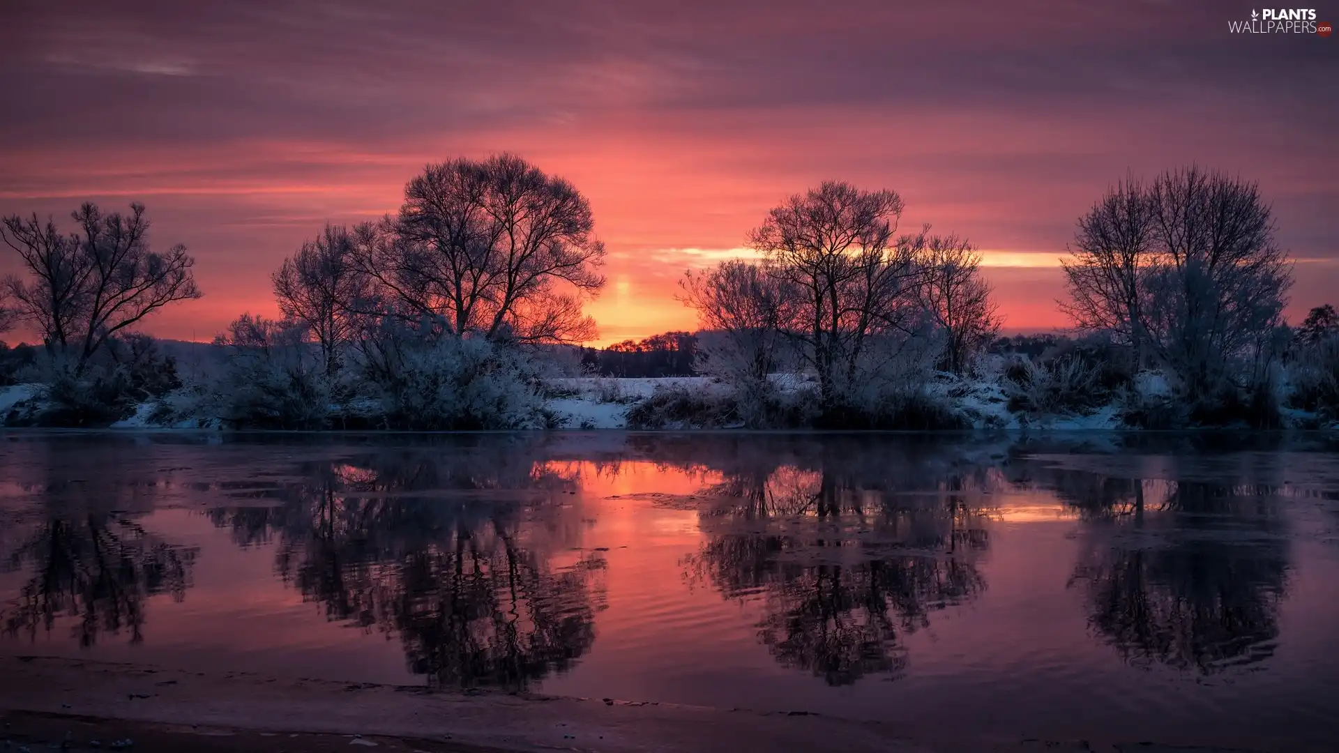 trees, winter, reflection, Great Sunsets, viewes, River