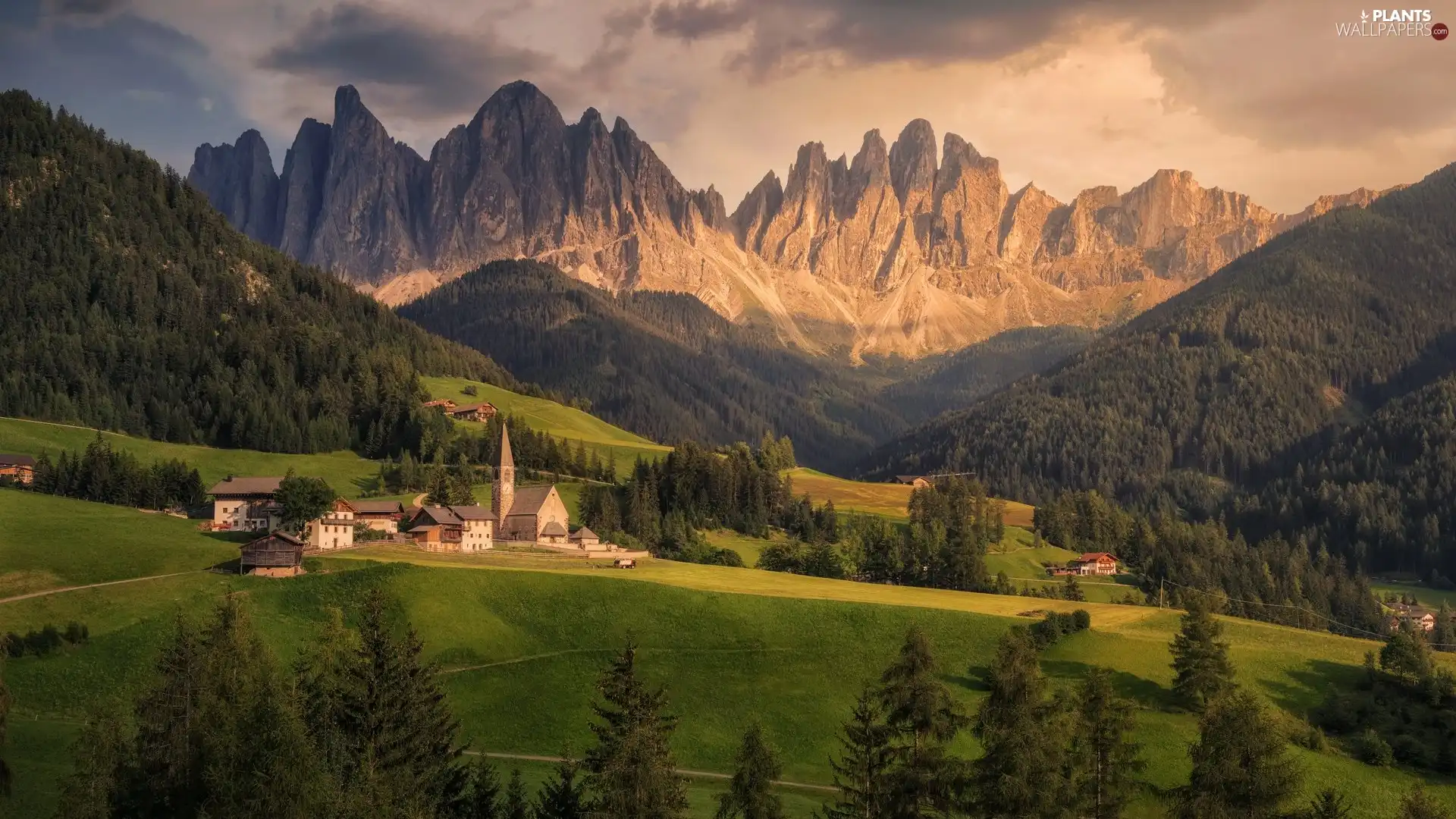 Village of Santa Maddalena, Mountains, trees, Val di Funes Valley, woods, Italy, Church, Massif Odle, Dolomites, buildings, viewes