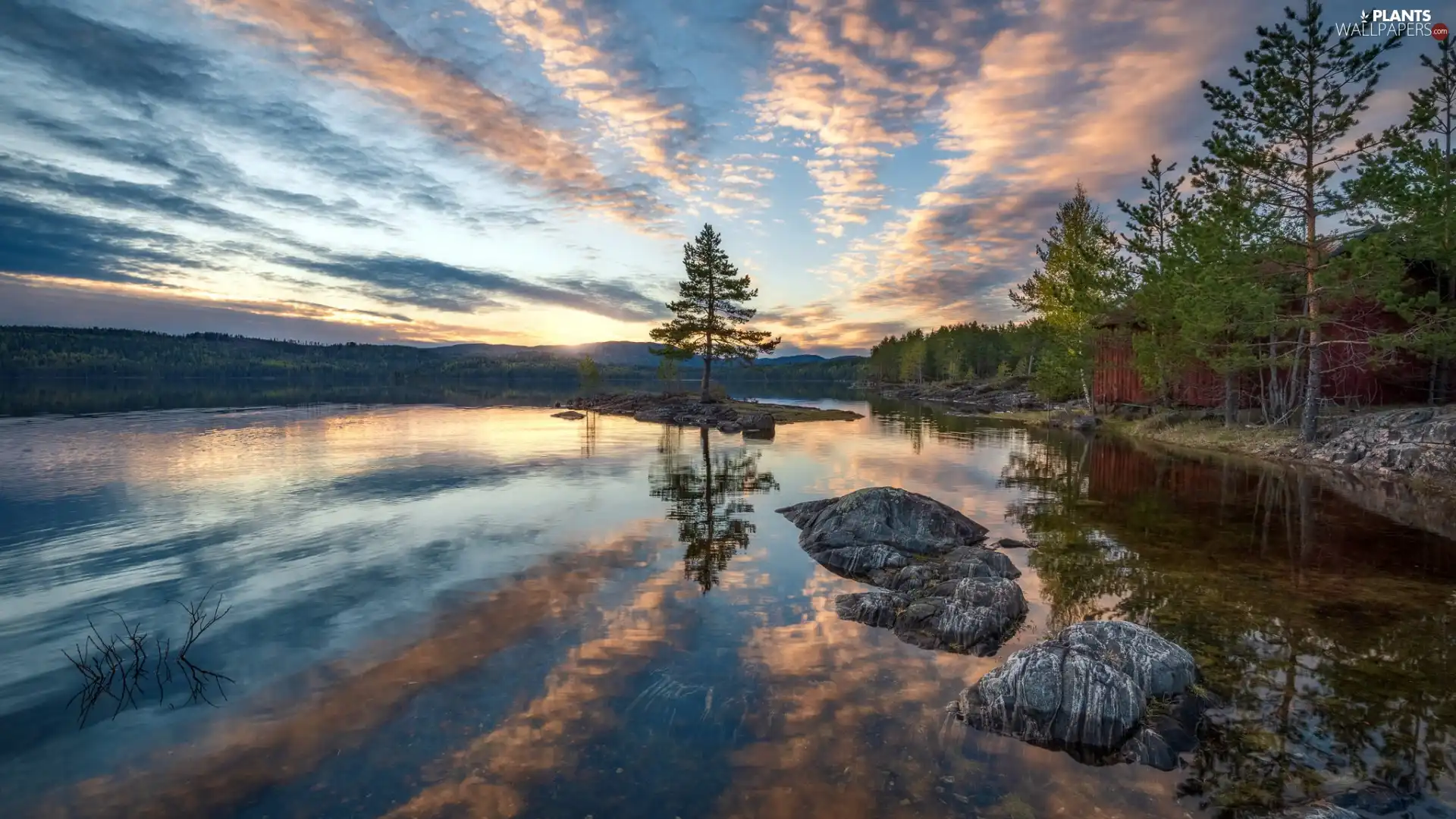 trees, lake, viewes, Stones, Ringerike, Norway, clouds, Great Sunsets, Sky