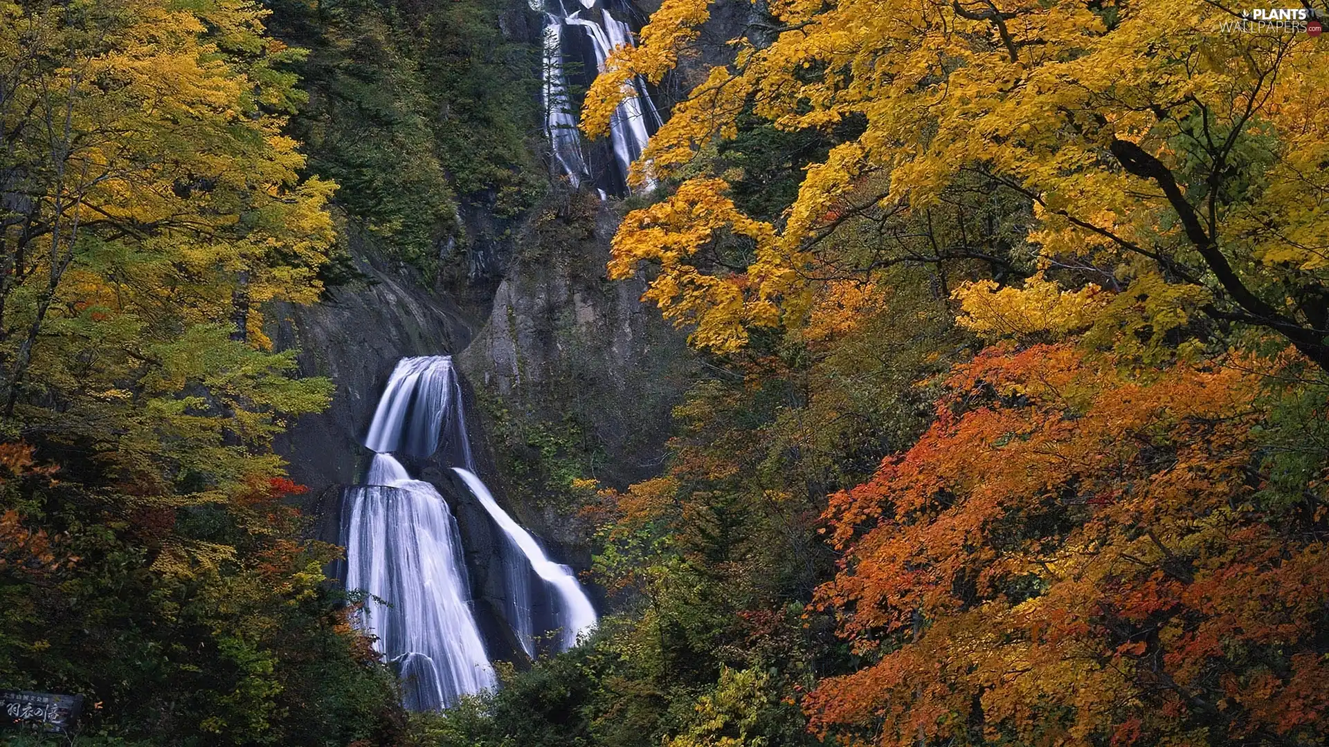 trees, viewes, waterfall, rocks, autumn