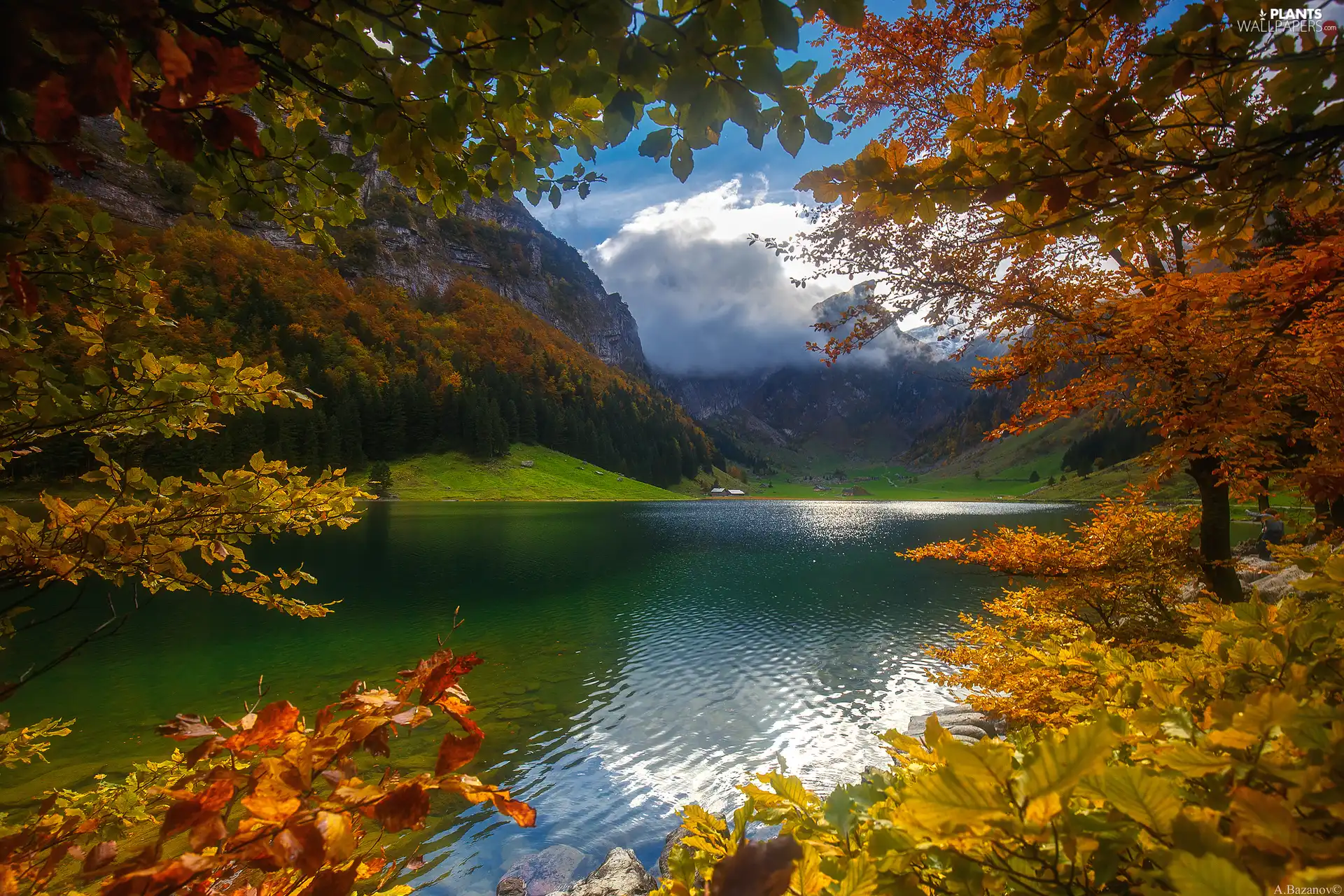 autumn, Mountains, trees, viewes, clouds, lake