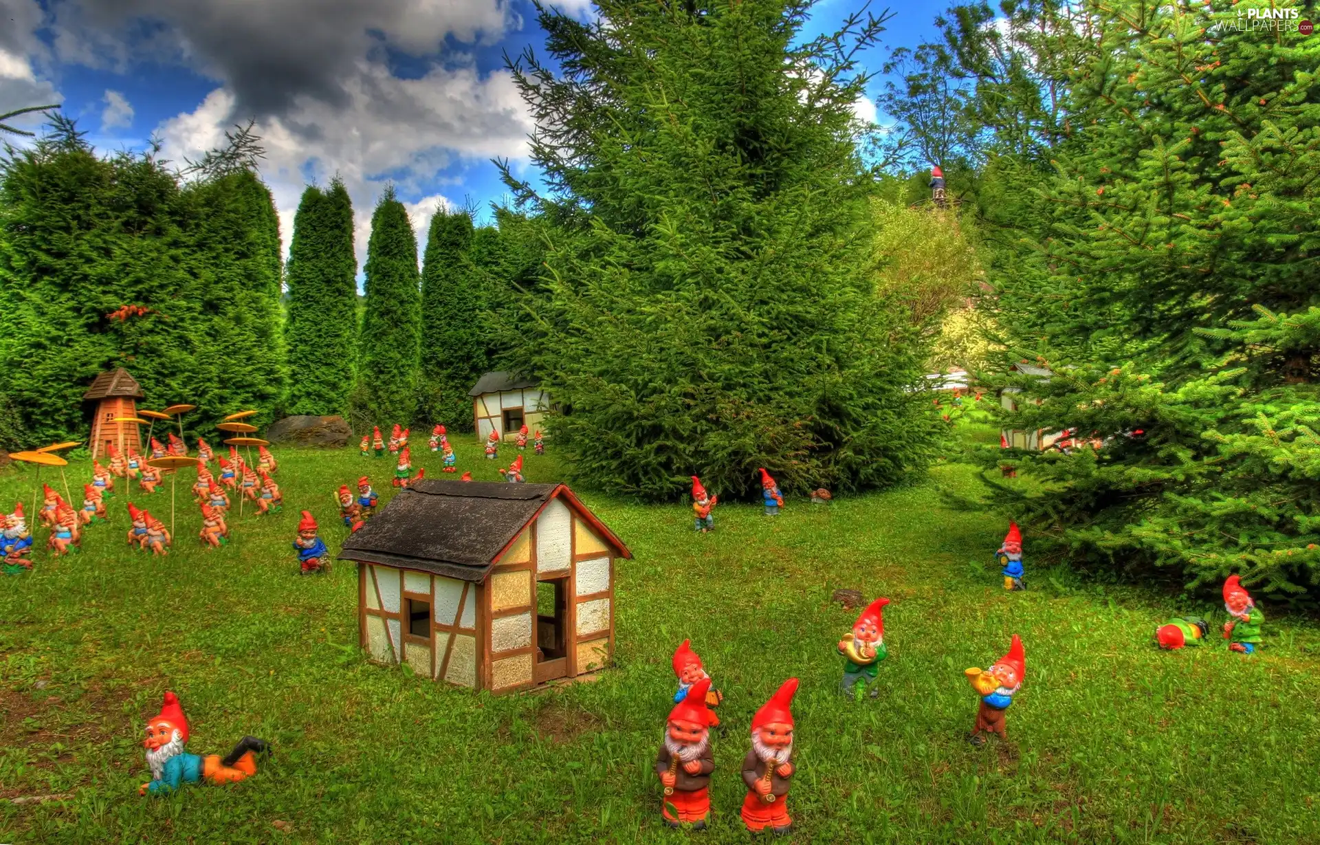trees, viewes, gnomes, Houses, village