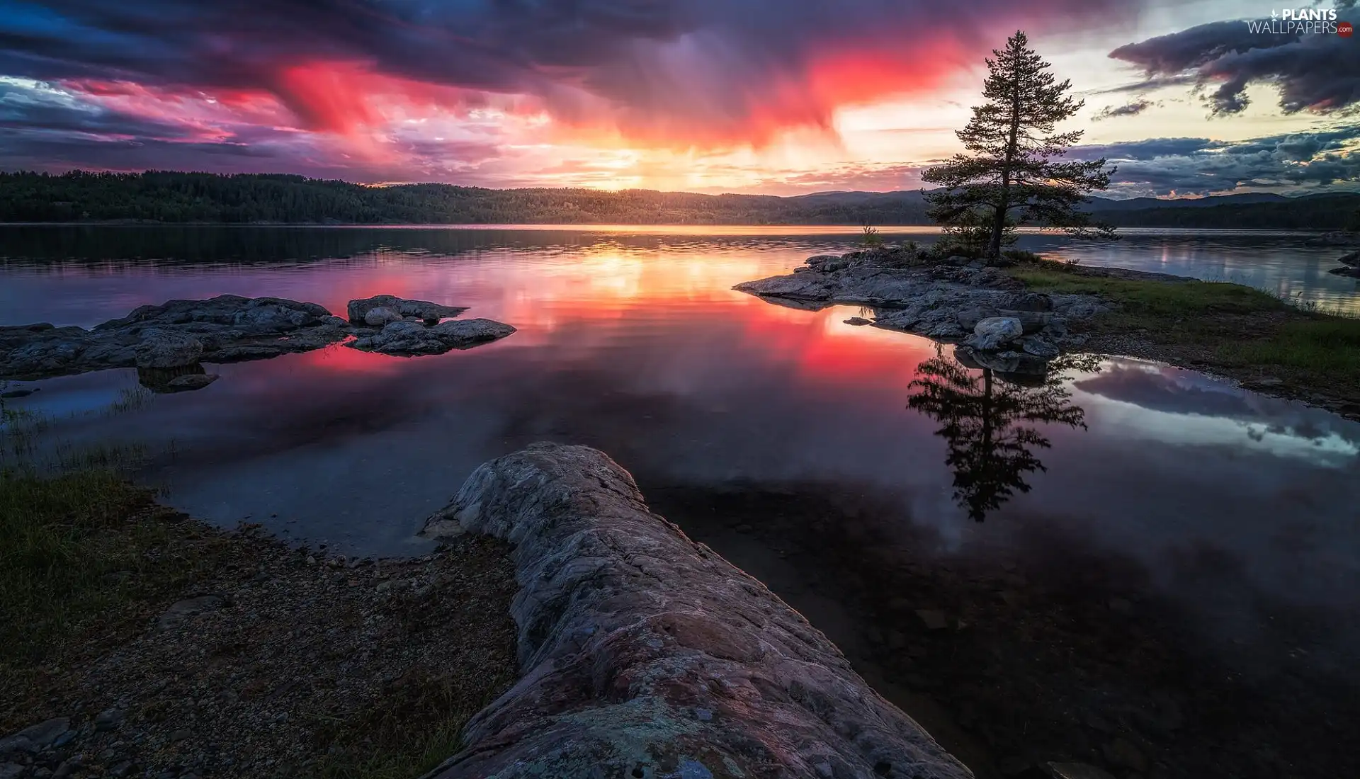 lake, Ringerike, woods, Great Sunsets, Norway, Islet, trees