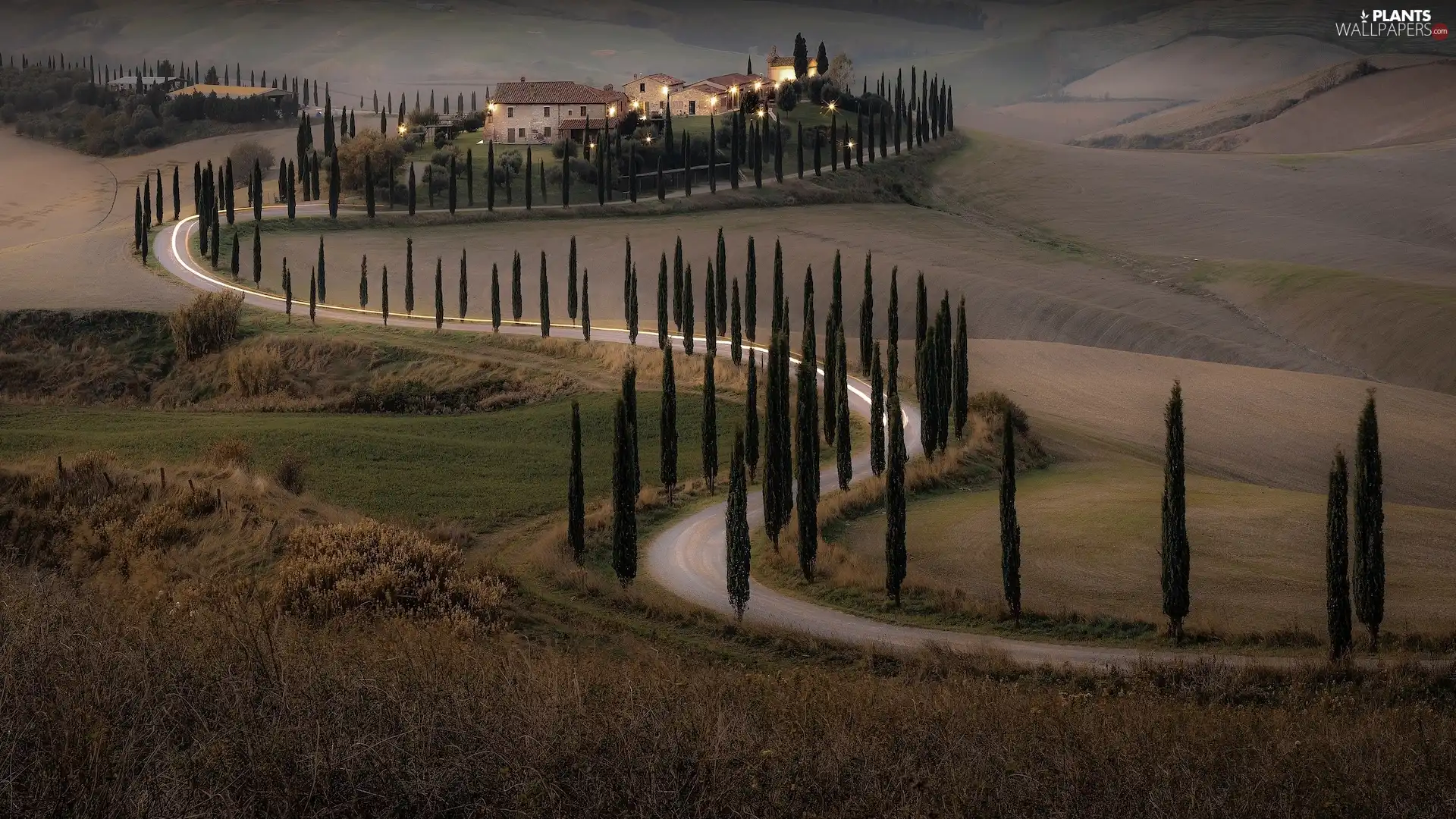 Tuscany, Italy, The Hills, Way, house, field, viewes, cypresses, trees