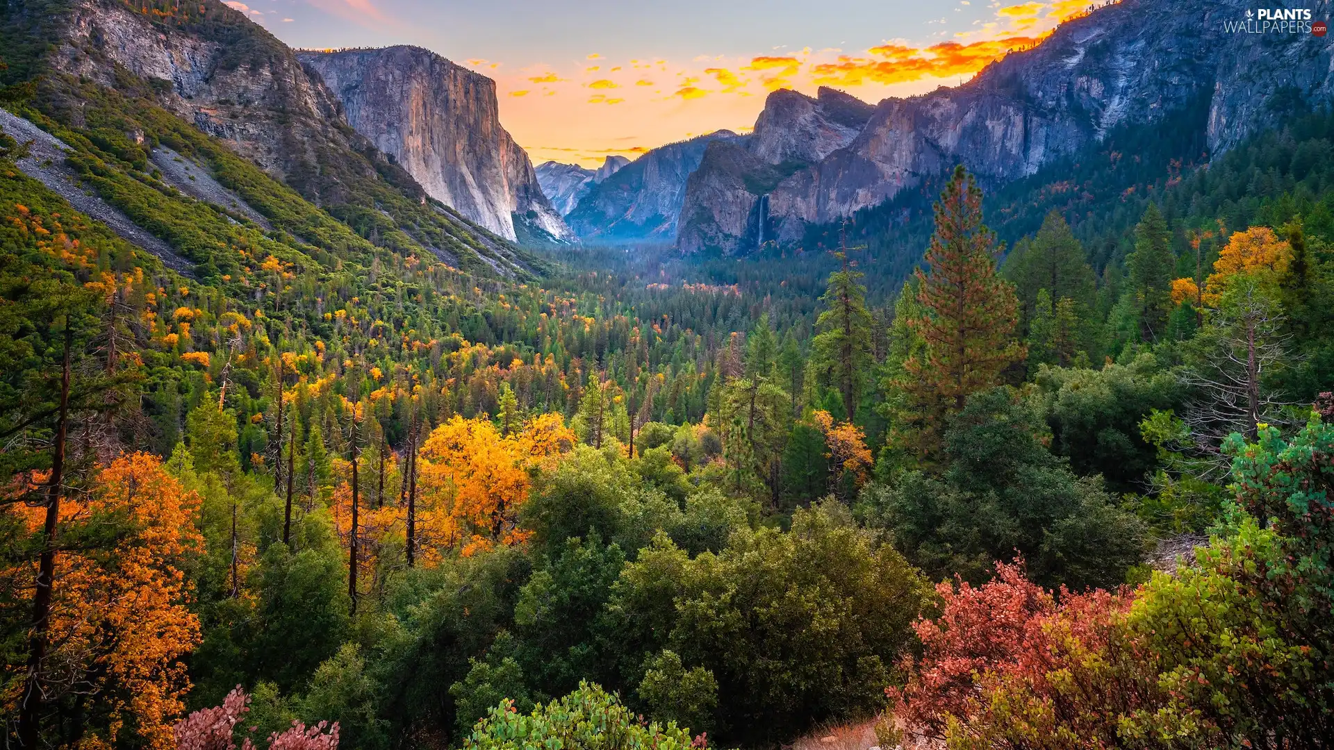 Yosemite National Park, Mountains, viewes, Valley, trees, California, The United States, autumn