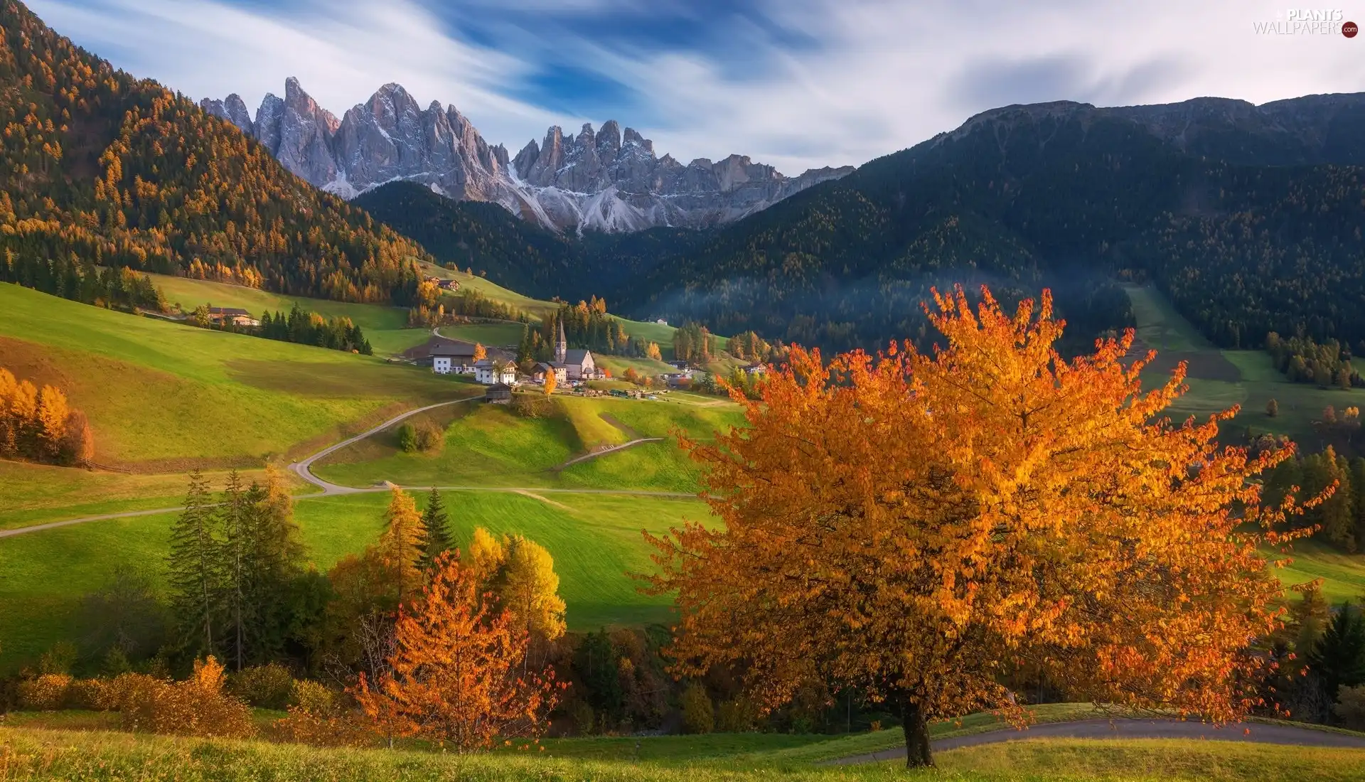 viewes, Autumn, Way, country, Italy, autumn, Dolomites, woods, Santa Maddalena, Mountains, trees, Houses, Val di Funes Valley