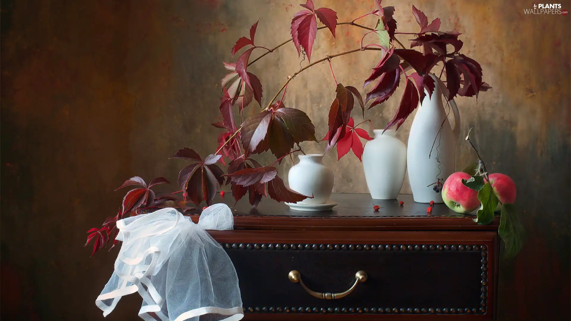 Virginia Creeper, apples, vases, Leaf, composition