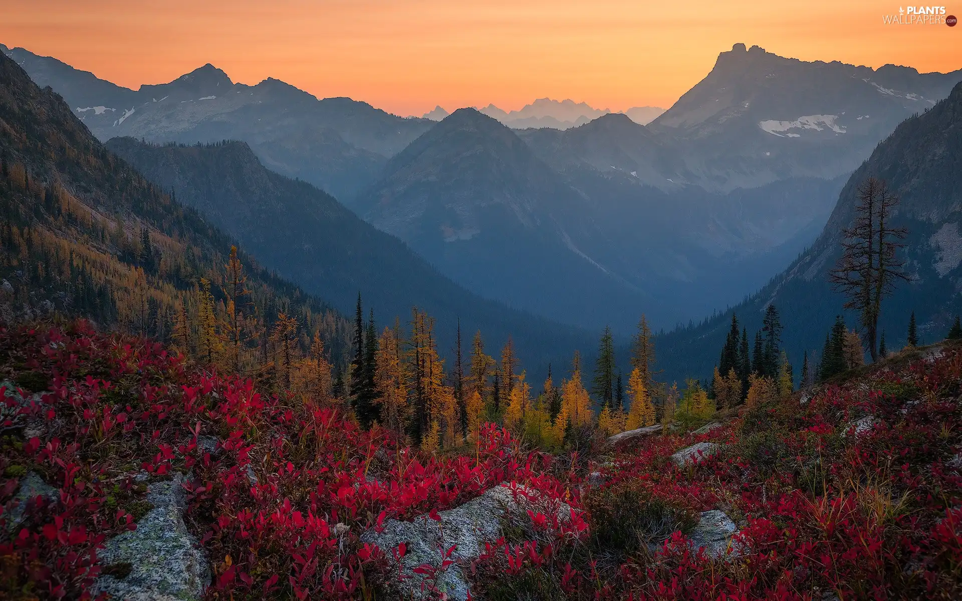 autumn, Washington State, North Cascades National Park, Coloured, trees, The United States, Cascade Mountains, VEGETATION, rocks, viewes