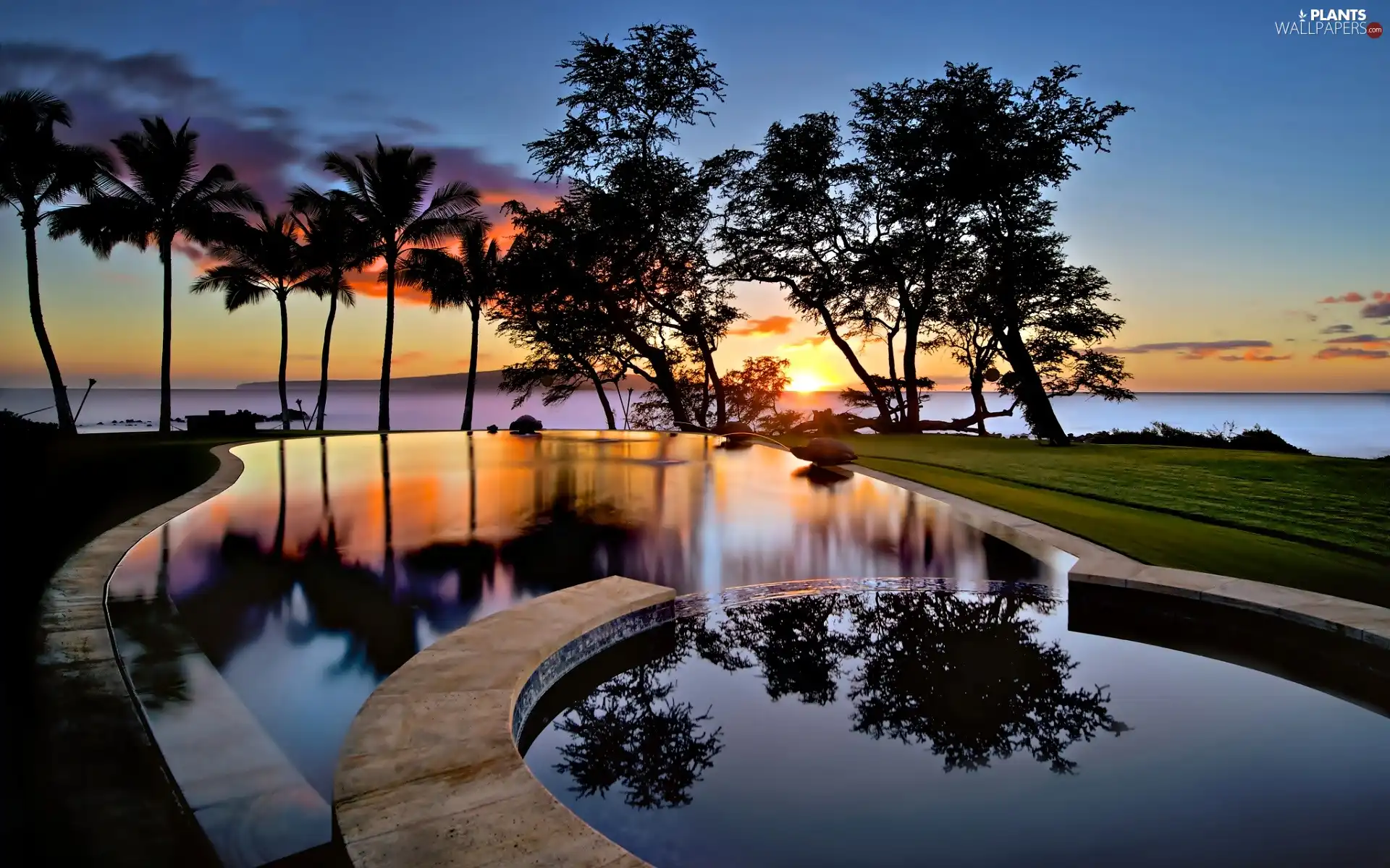viewes, Palms, Great Sunsets, trees, Pool