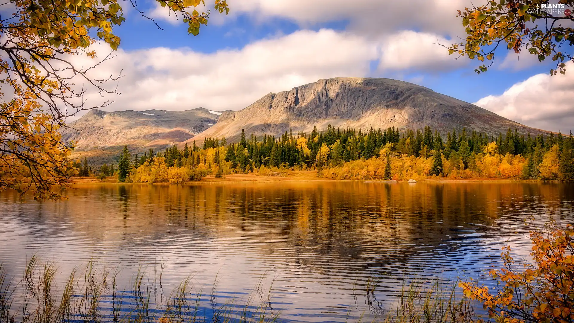 Rocky, autumn, trees, viewes, Mountains, lake