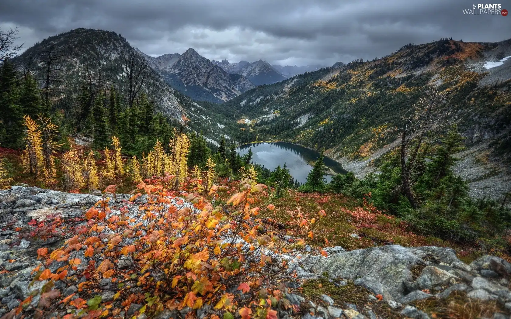 trees, Mountains, Clouds, lake, autumn, viewes, Sky